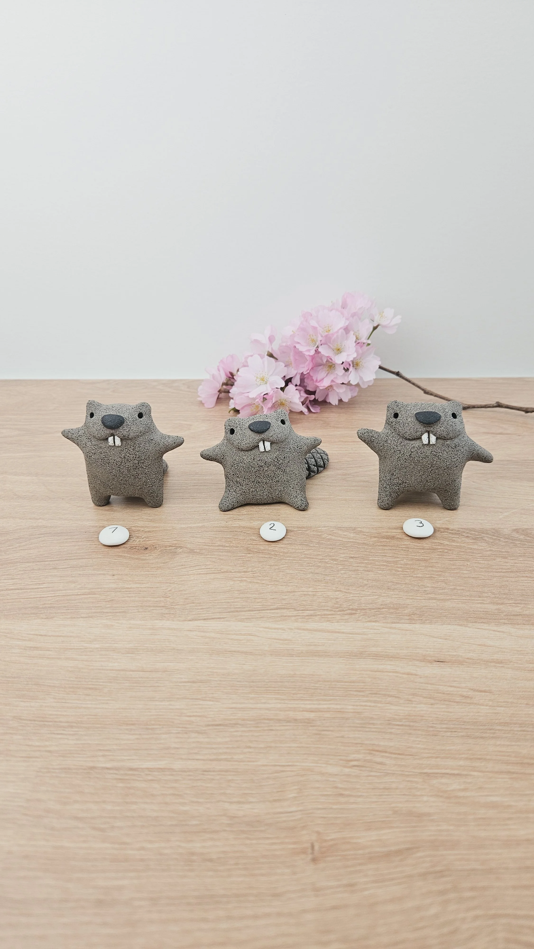 Mini Castor 20260318_134444.jpg