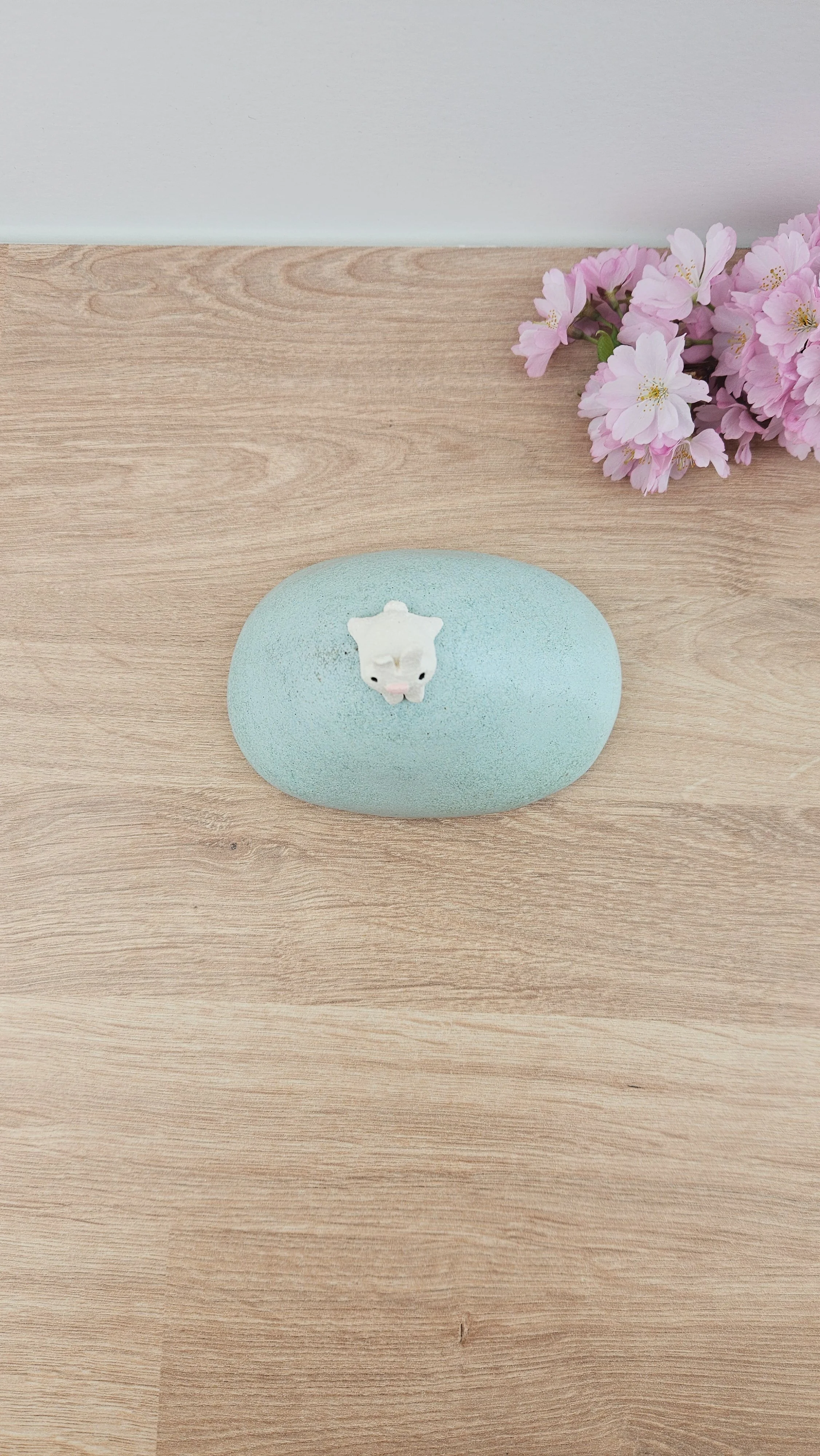 colline lapin 220260319_120925.jpg