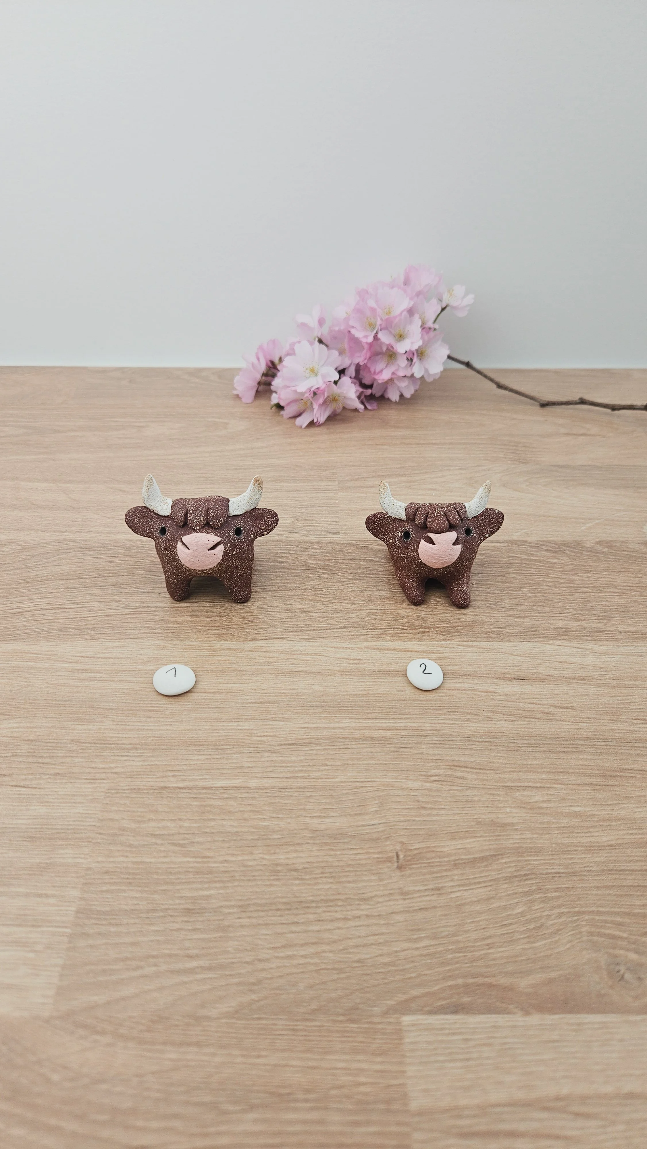 Mini Vache 20260318_140537.jpg