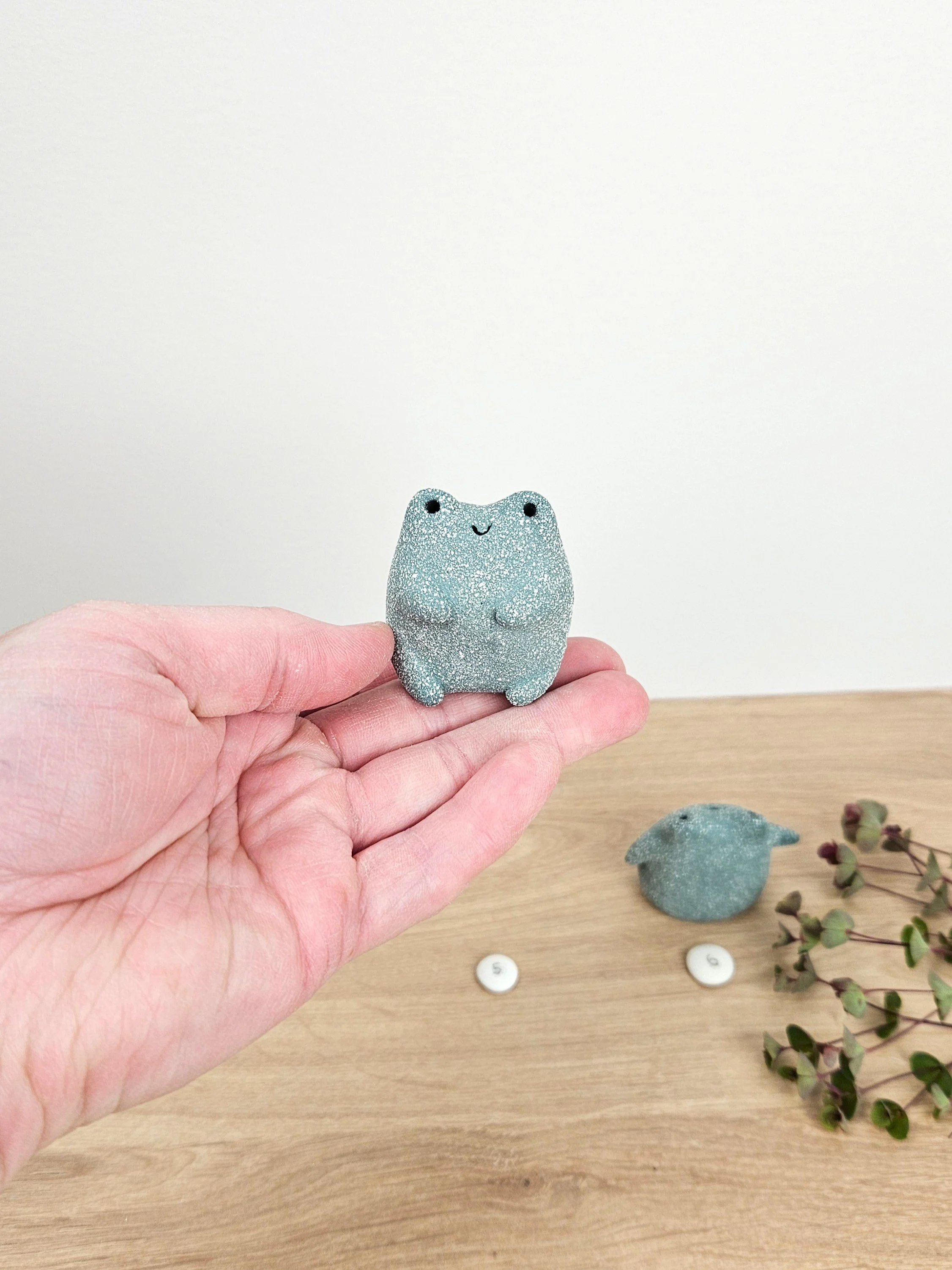 mini grenouille (5).jpg
