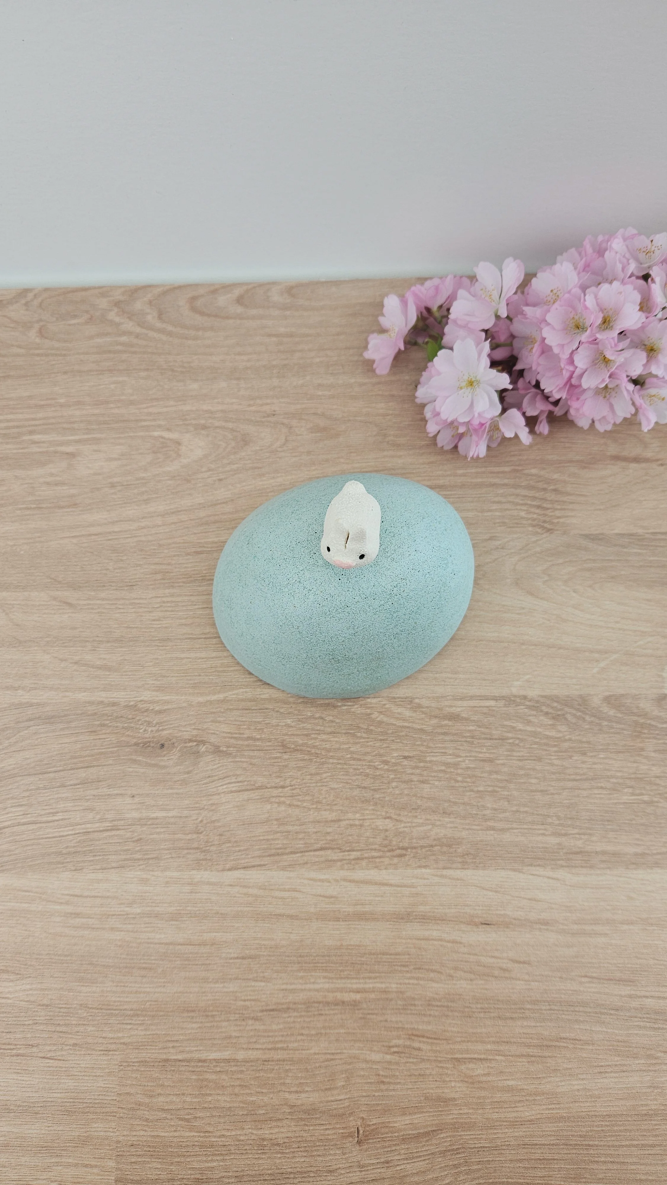 colline lapin 120260319_120909.jpg