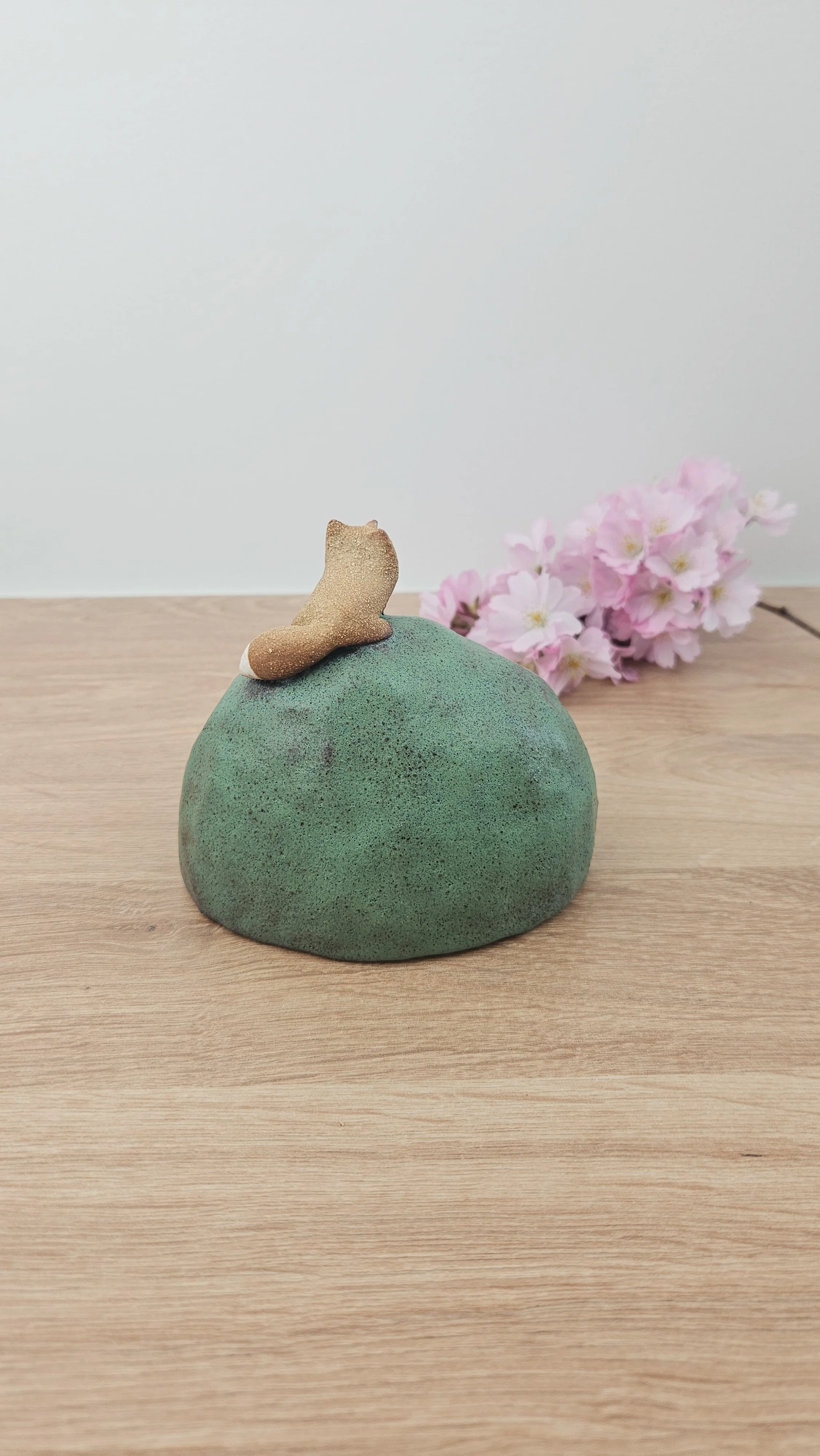 Colline Renard 1 20260318_142637.jpg