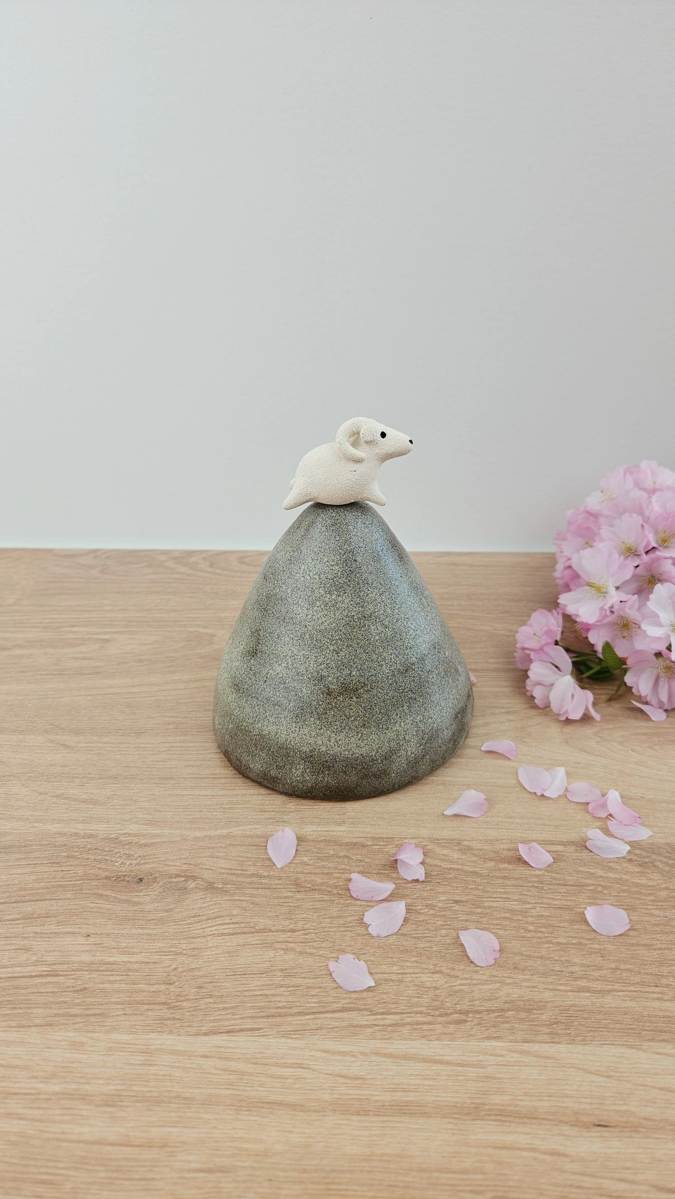 montagne Bouc 120260319_123737.jpg