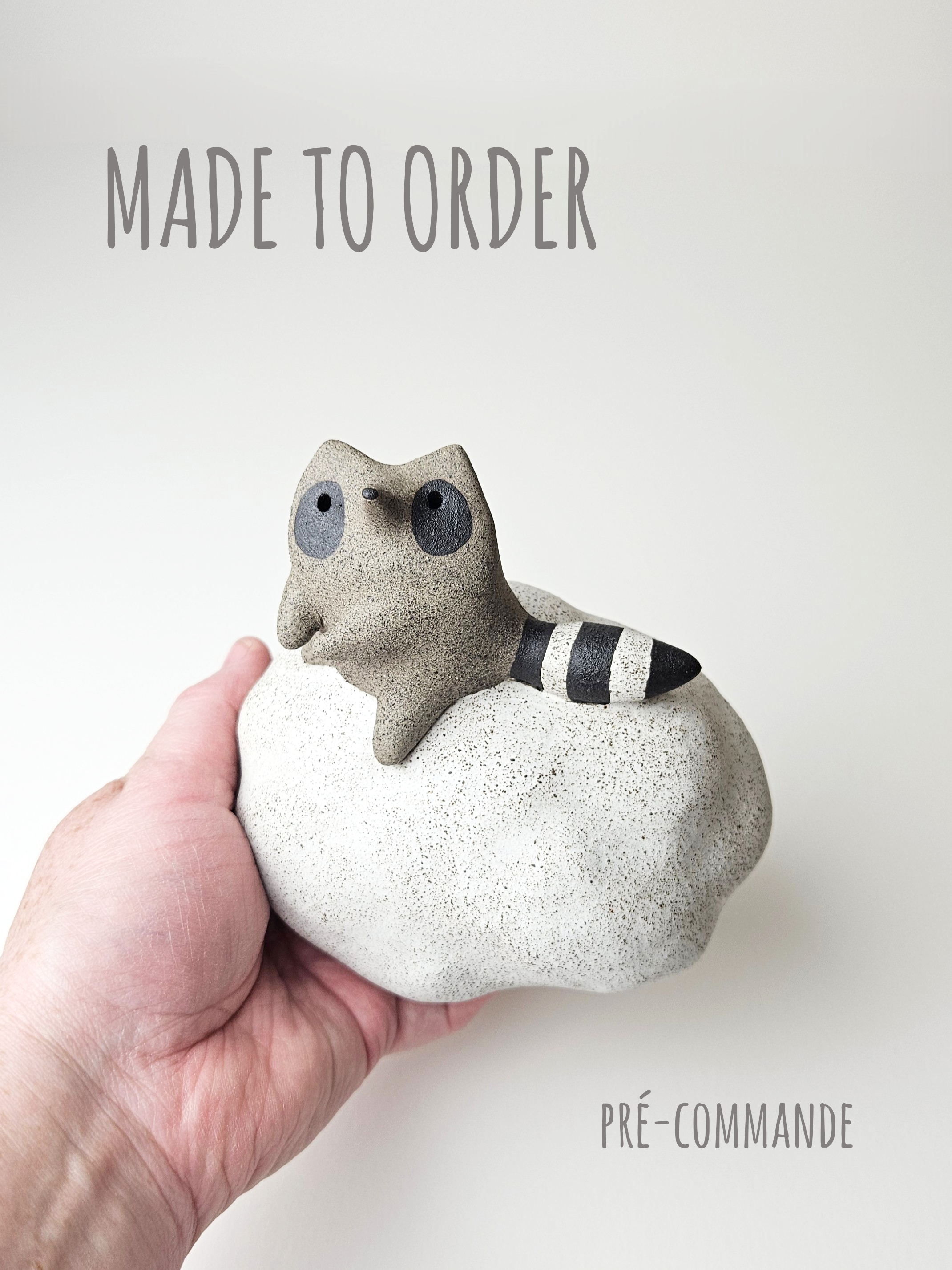 Pré-commande - Raton-Voleur de nuages