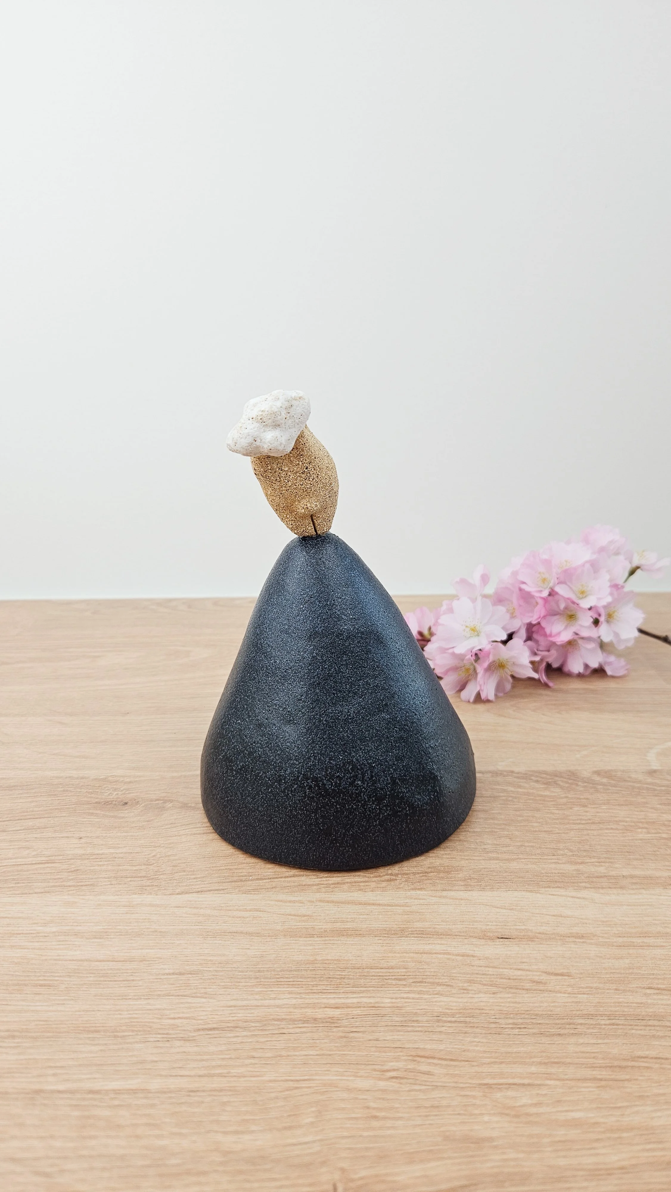 Montagne Nuage 1 20260318_144934.jpg