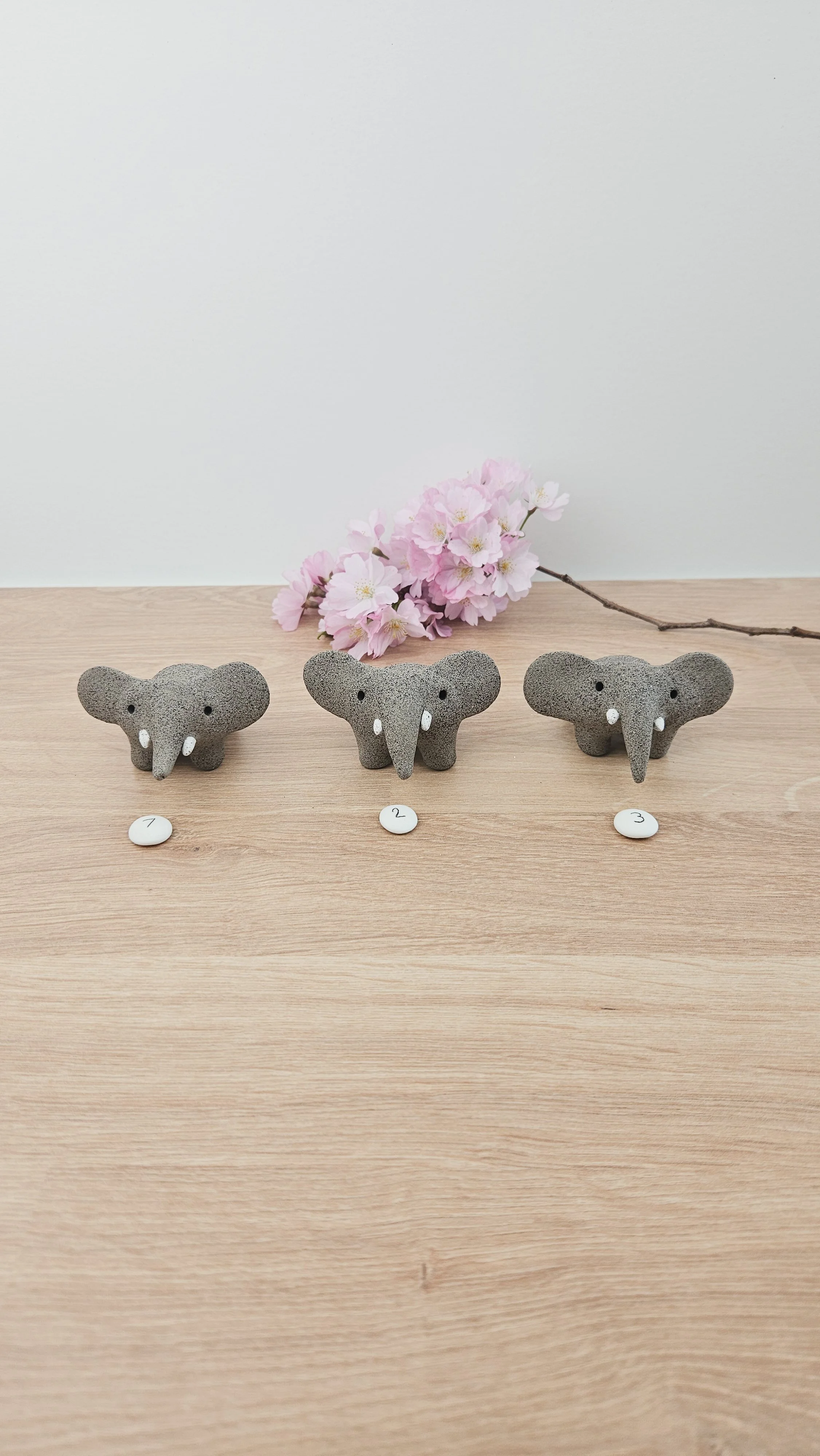 Mini Elephant 20260318_134740.jpg