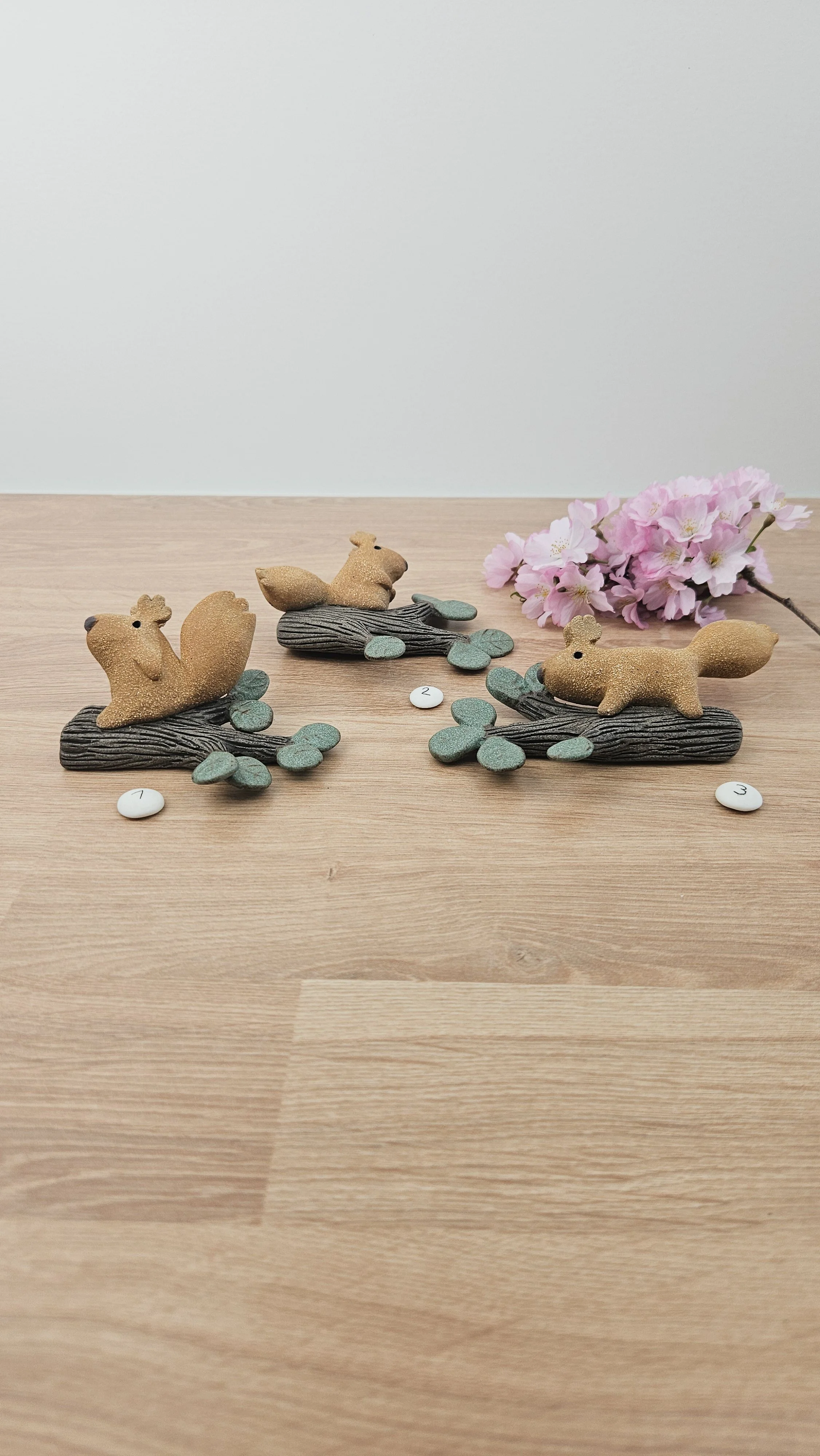 Branche Ecureuil 20260318_143803.jpg