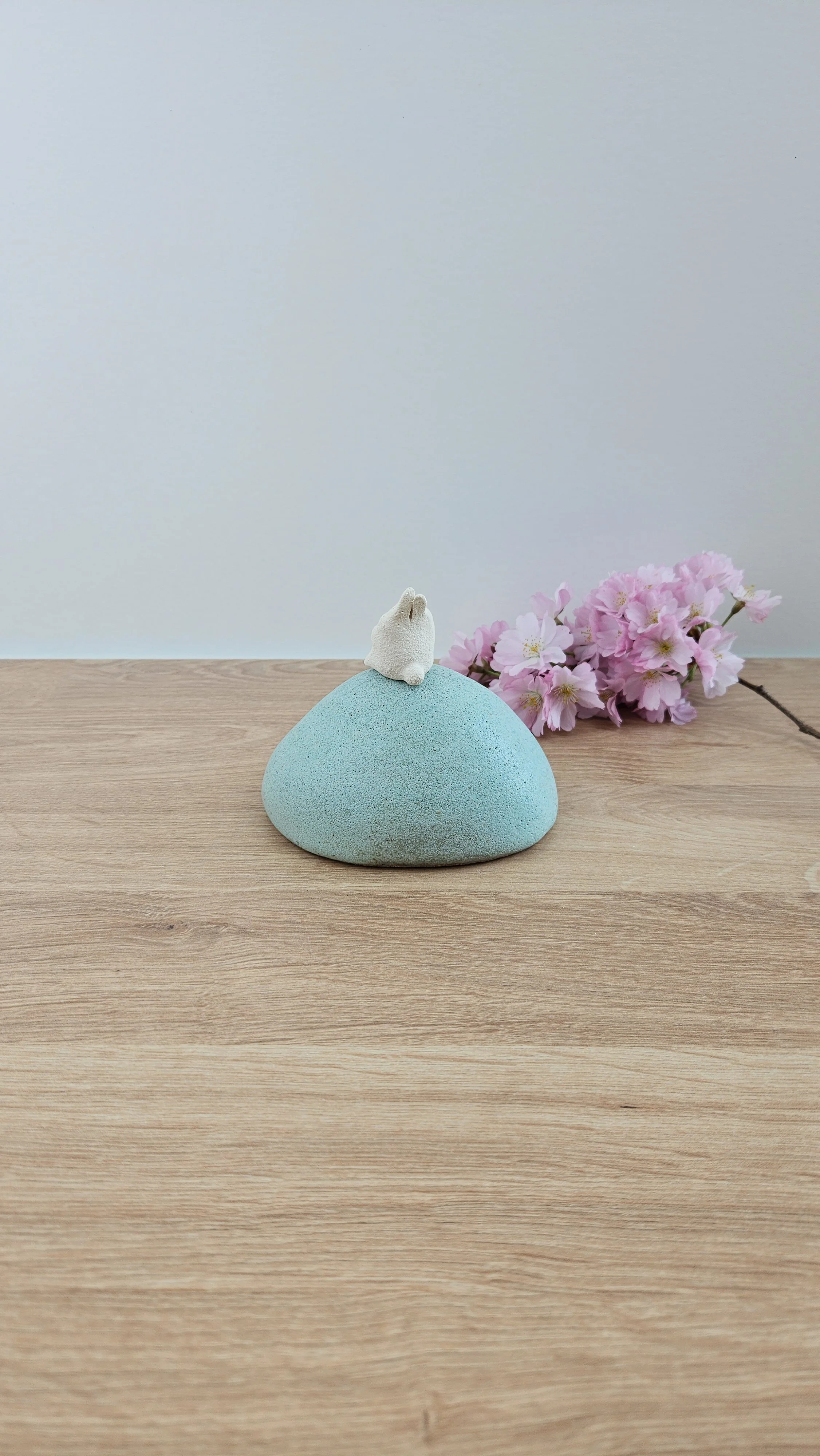 colline lapin 320260319_122245.jpg