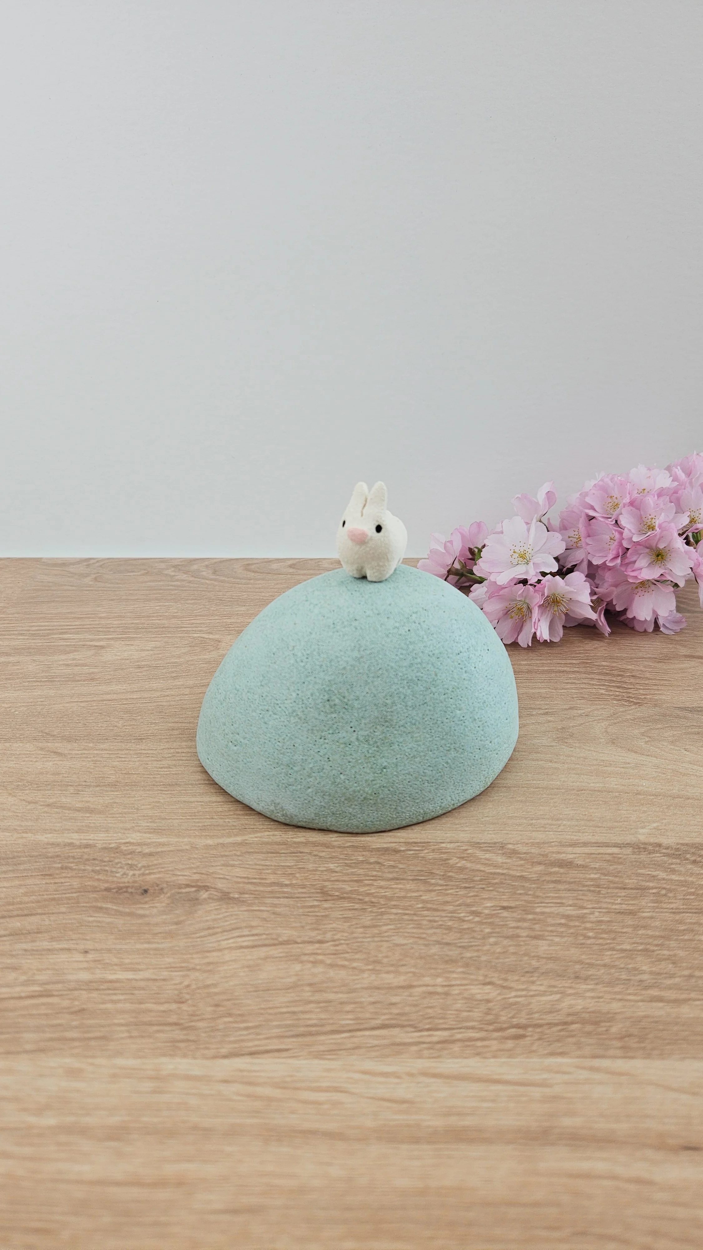 colline lapin 120260319_120858.jpg