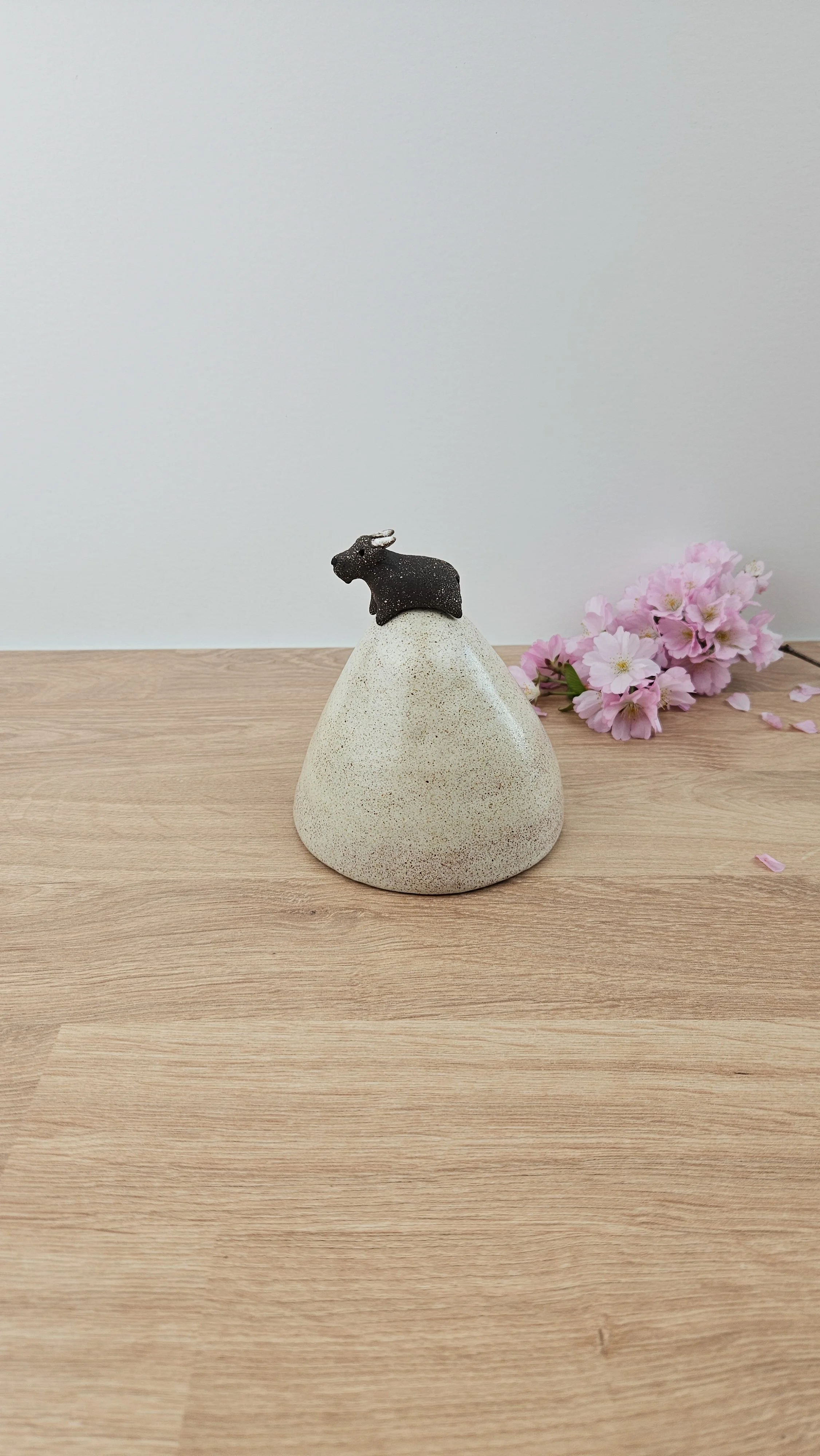 montagne biquette 220260319_142223.jpg