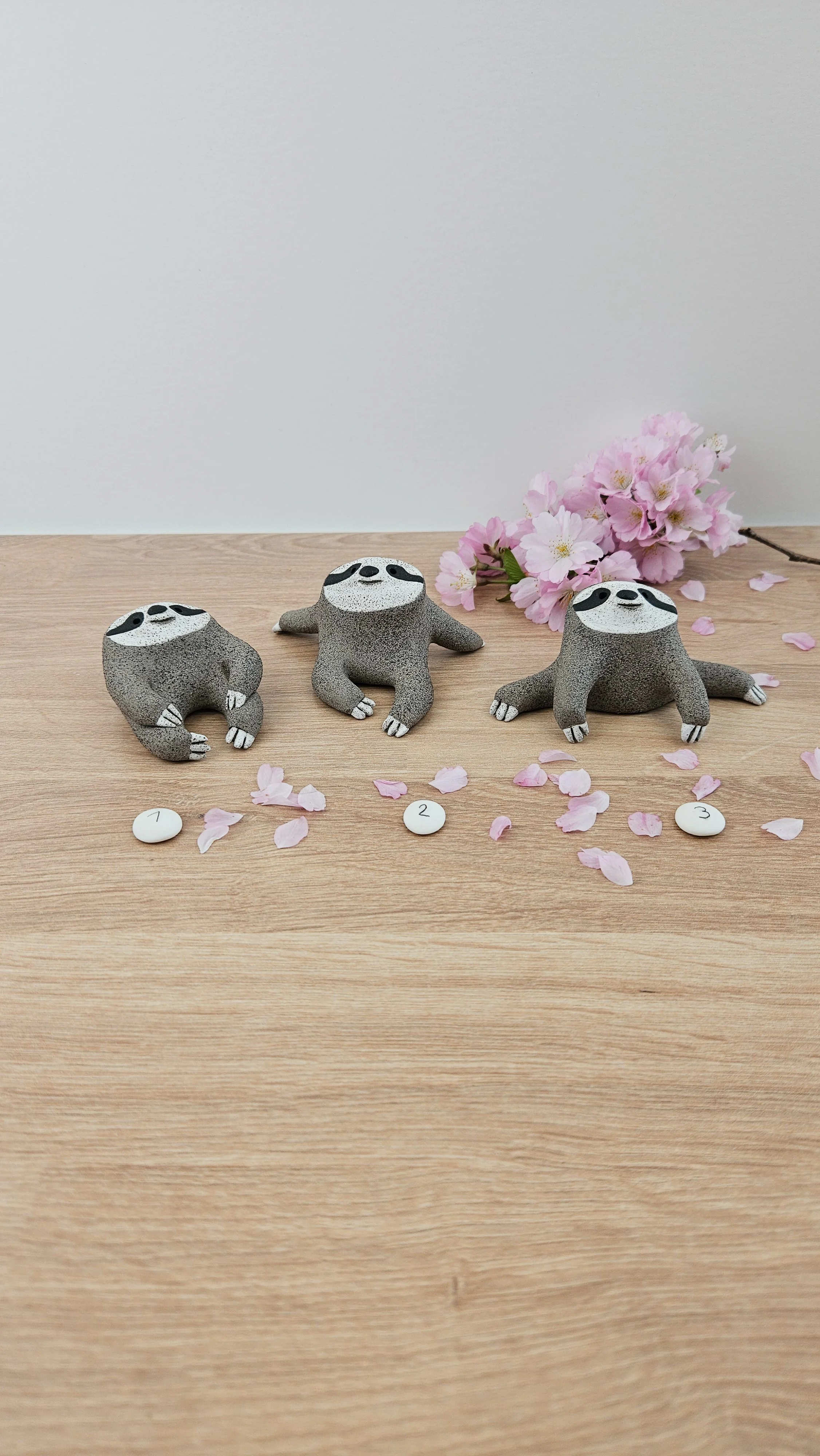 Mini paresseux20260319_140951.jpg