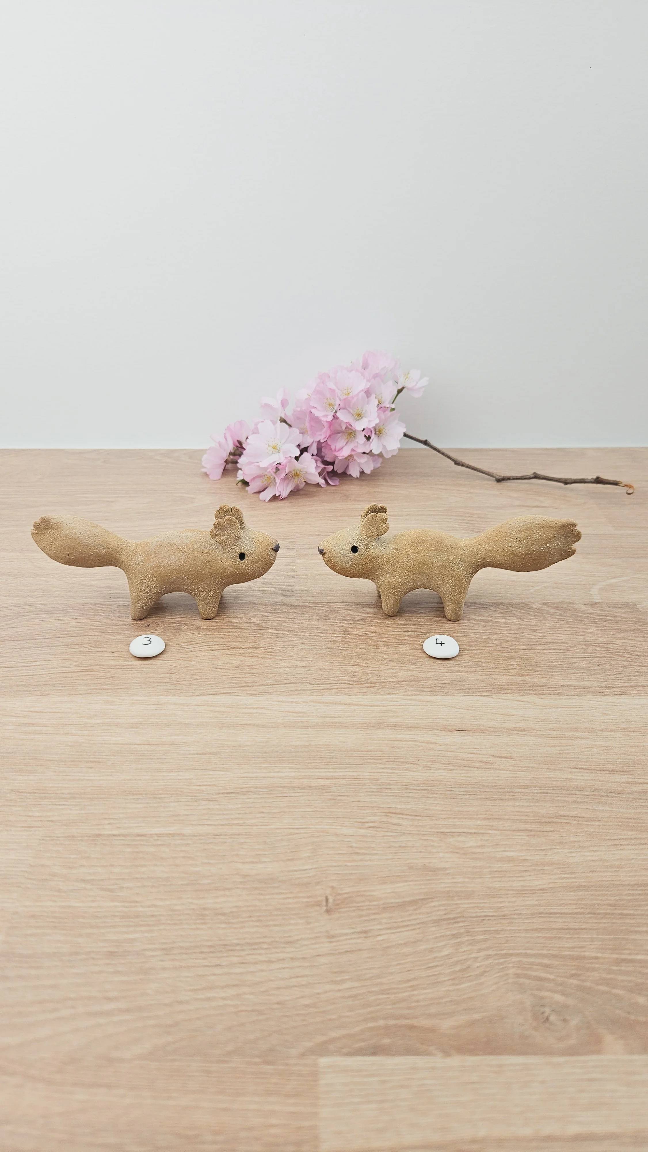 Mini Ecureuil 20260318_140214.jpg