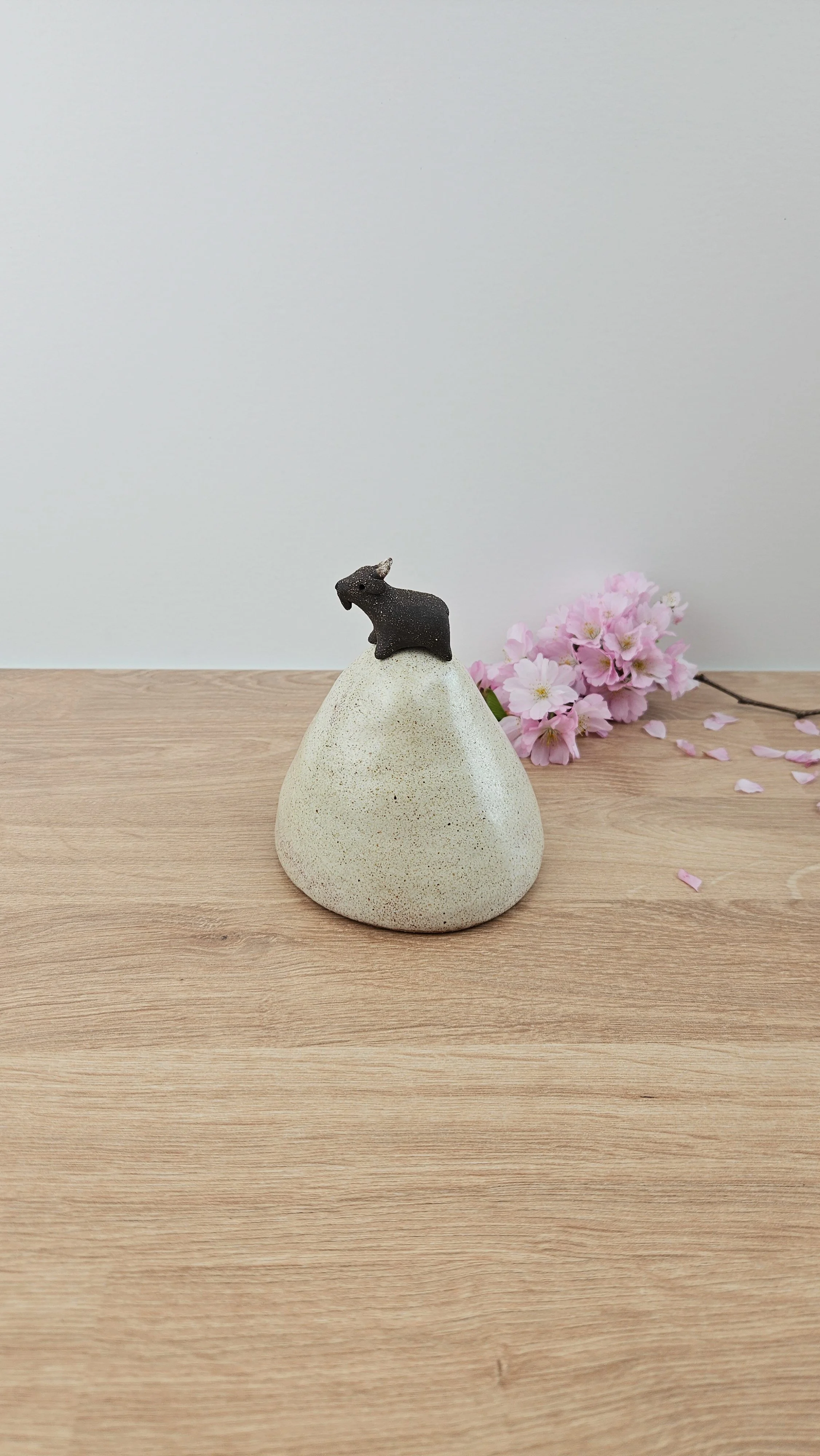 montagne biquette 420260319_142501.jpg