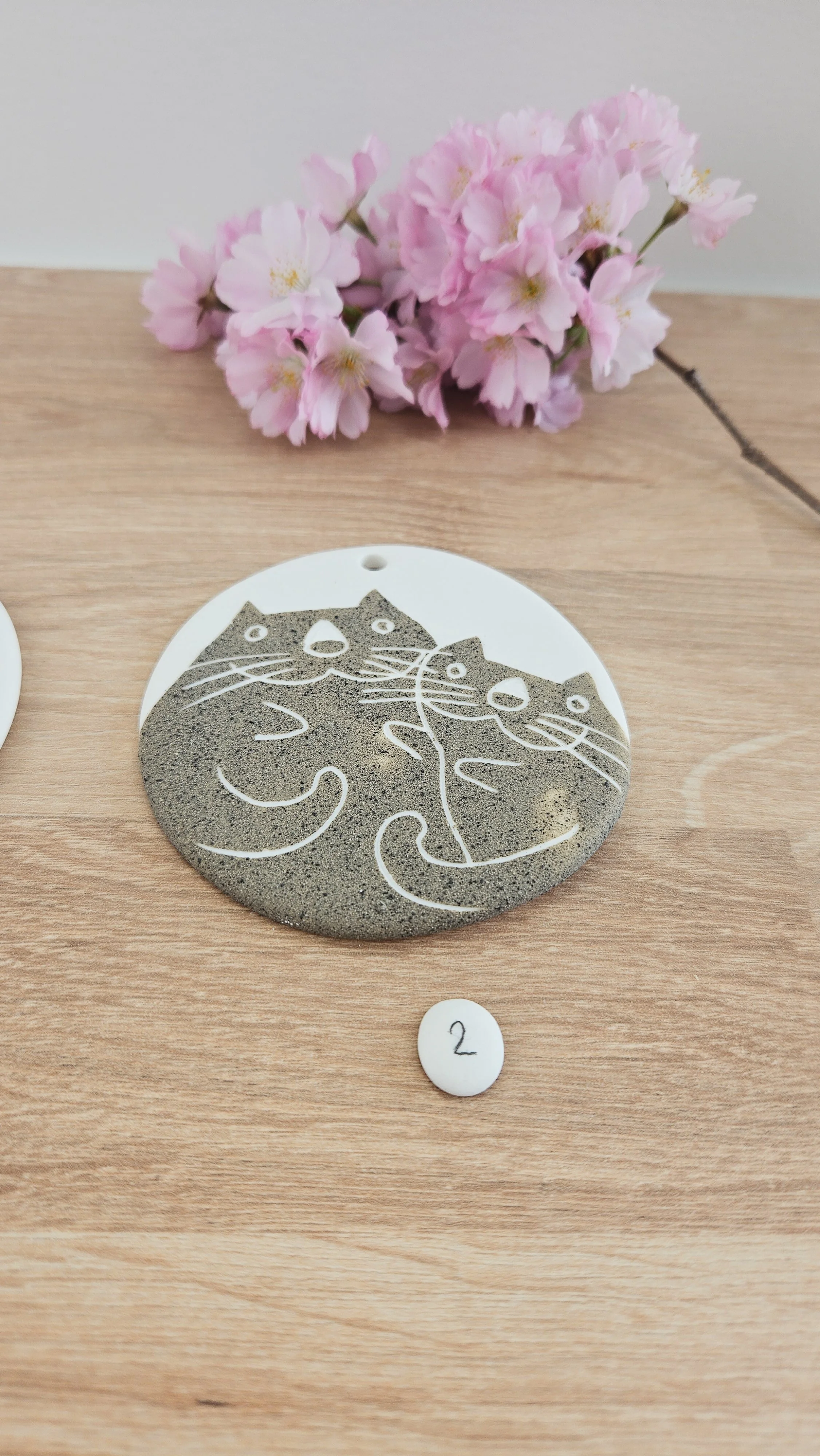 Médaillon chat20260319_120044.jpg