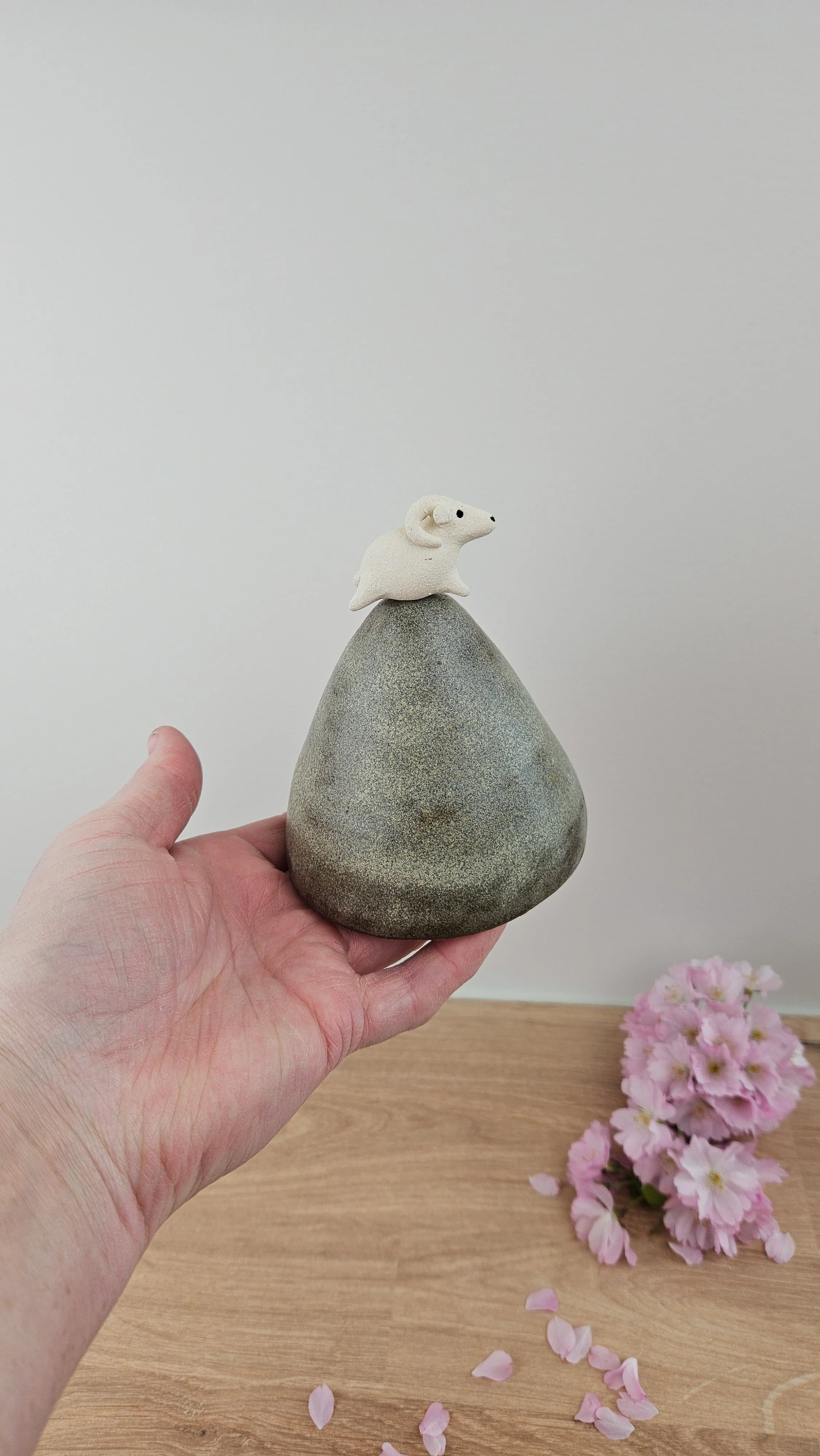 montagne Bouc 120260319_123750.jpg