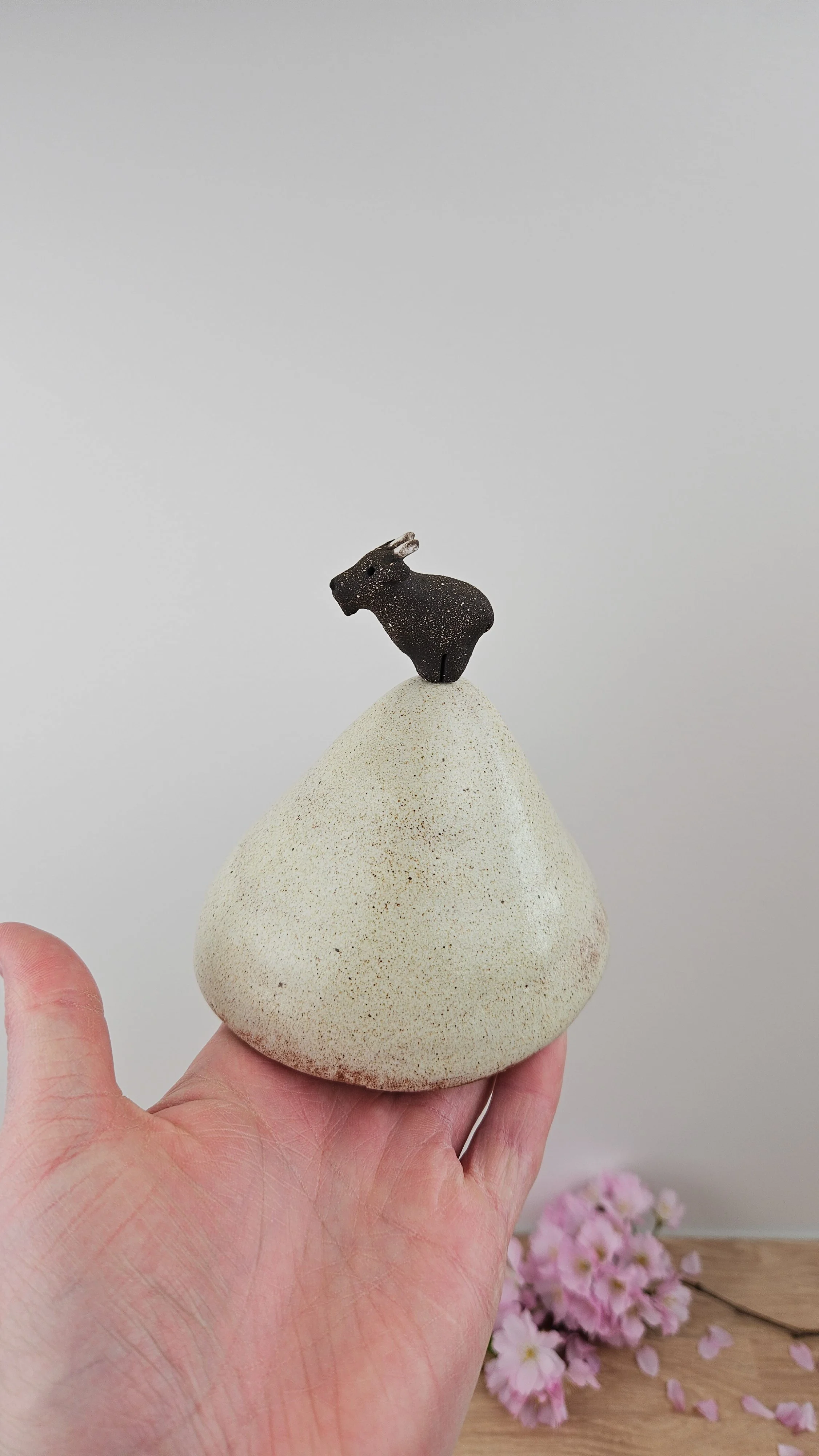 montagne biquette 320260319_142356.jpg