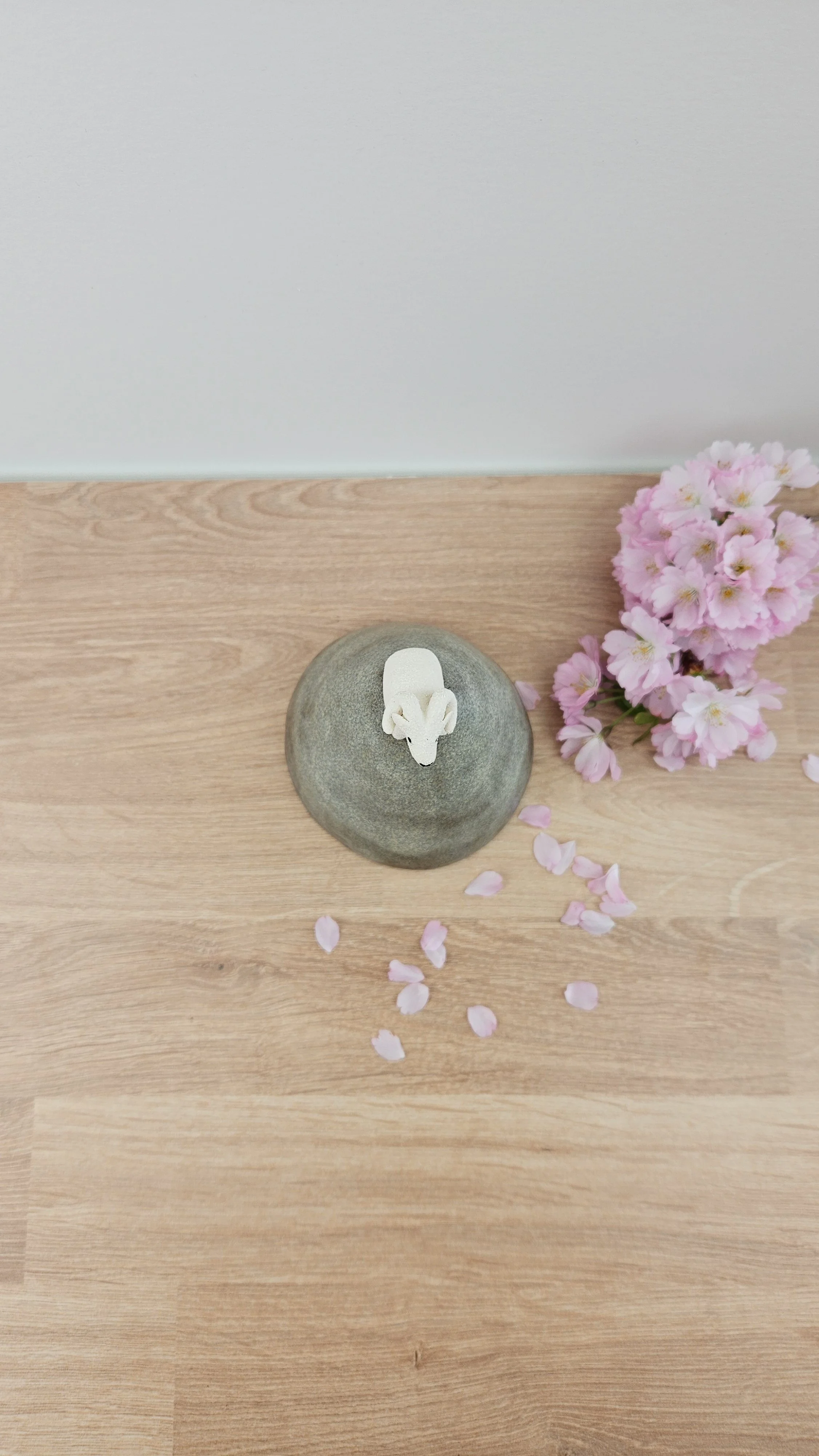 montagne Bouc 220260319_123811.jpg