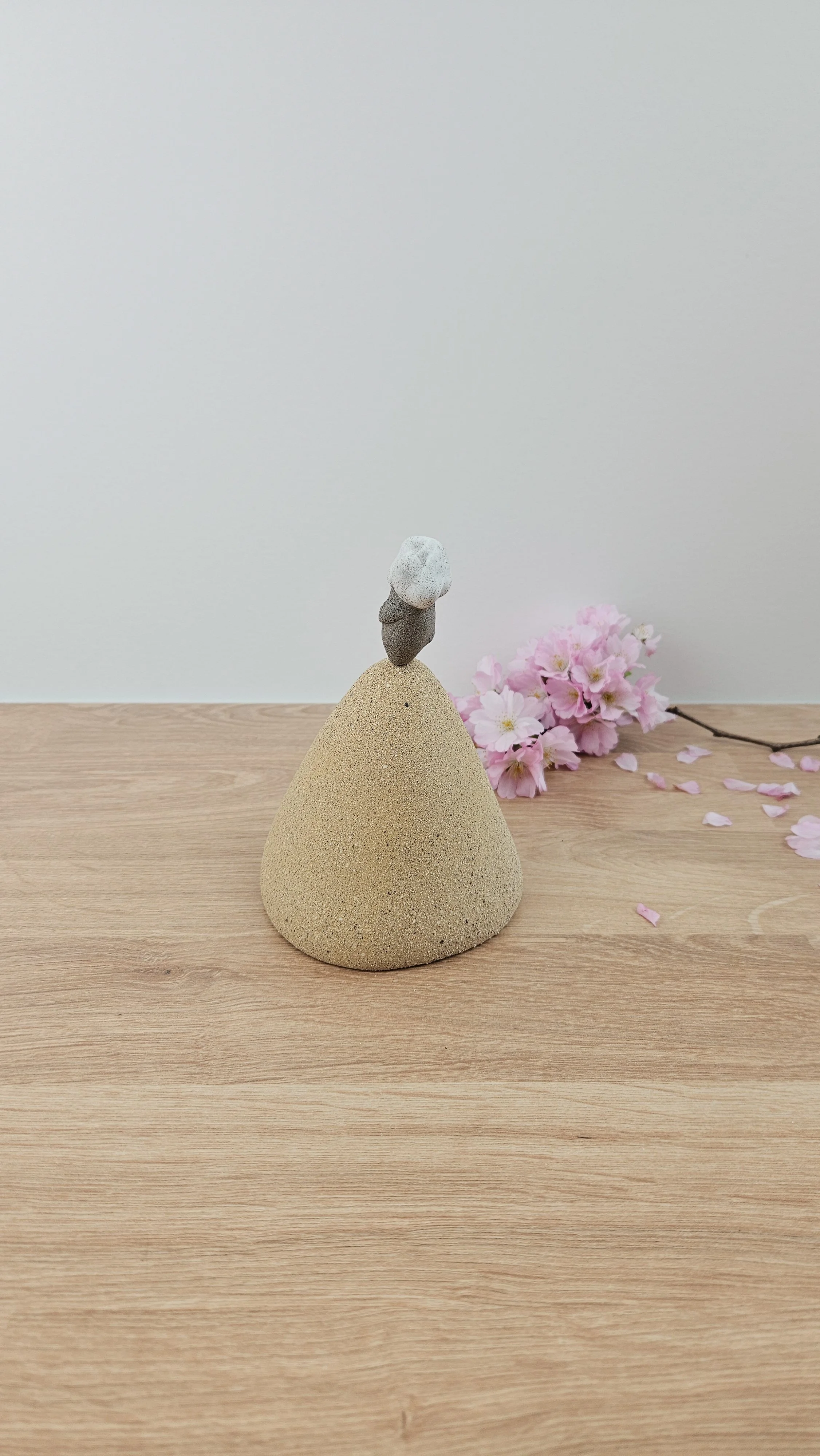 montagne nuage 6 montagne nuage 320260319_142645.jpg