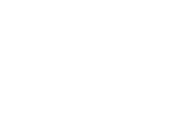 Youtube icon.