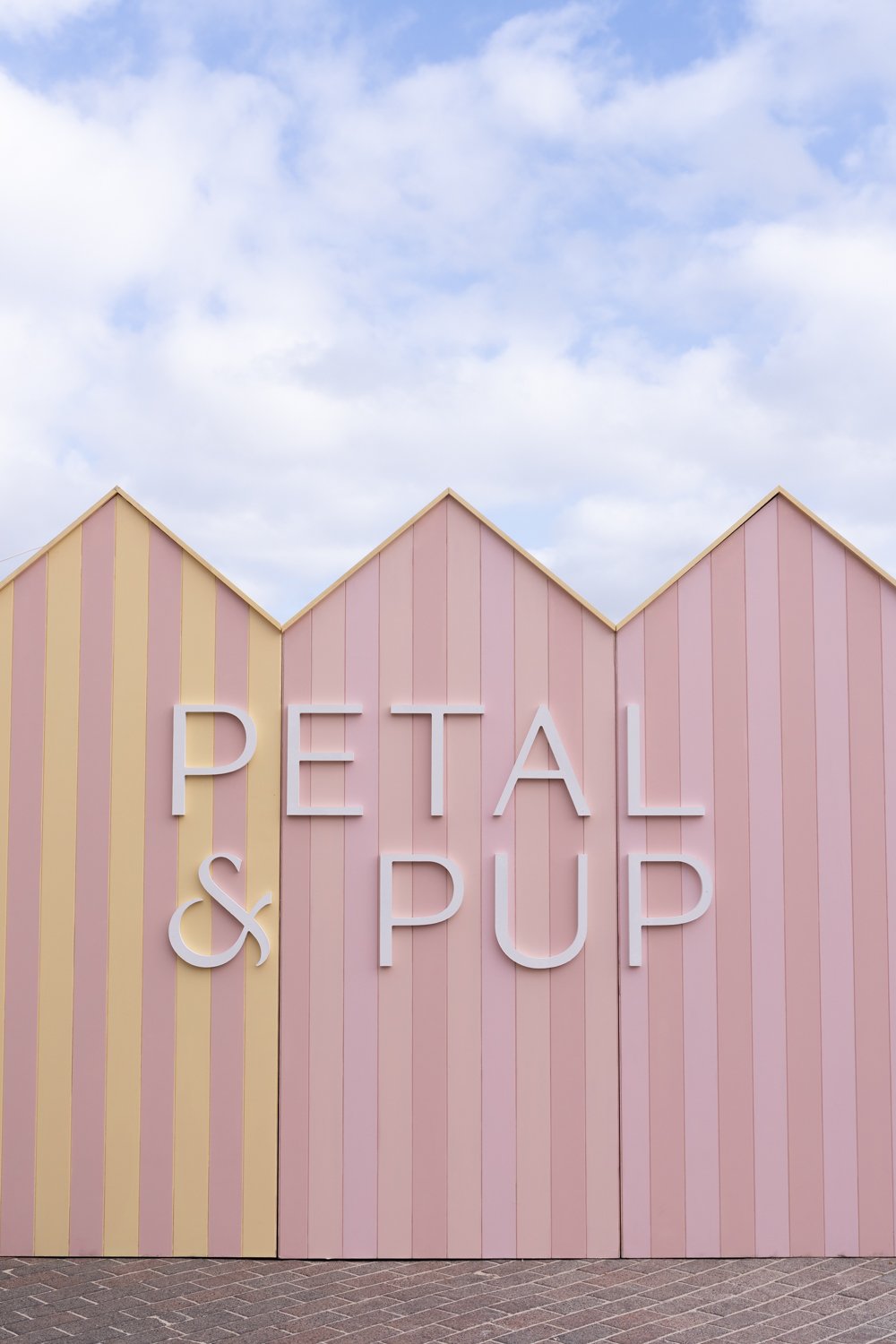 With Smee Thumbnail2.jpg