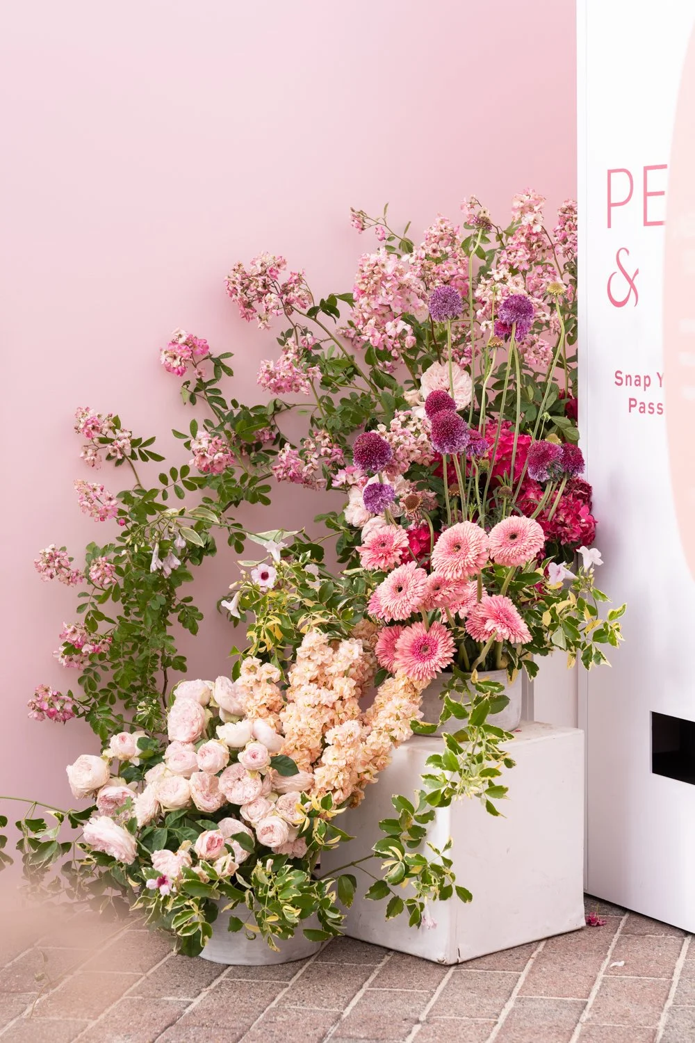 With Smee Thumbnail13.jpg