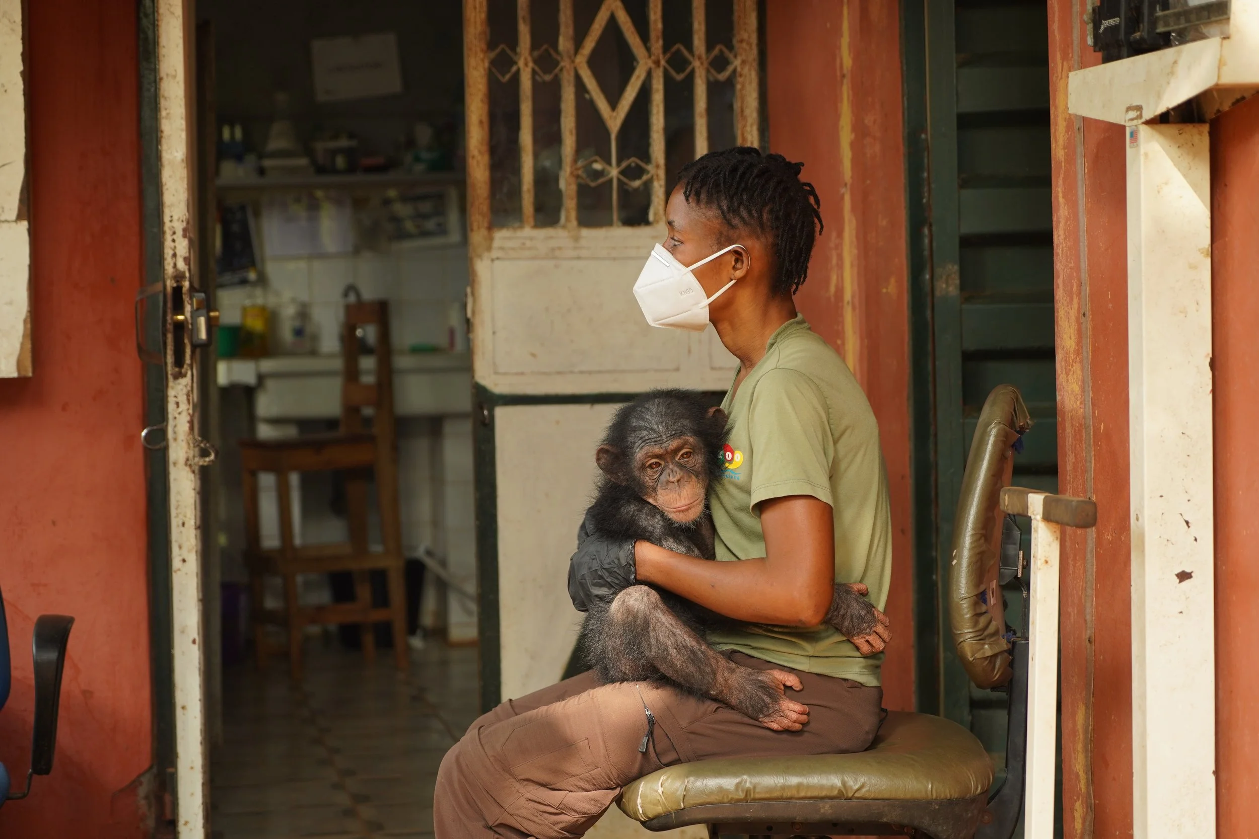 Hawa cradles young Minnie Winnie as the anesthesia begins to take effect ahead of her health check.