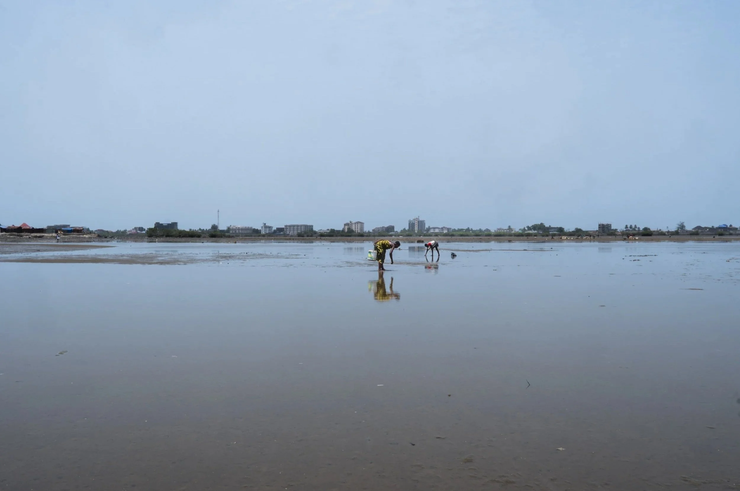 SF_09917.jpg