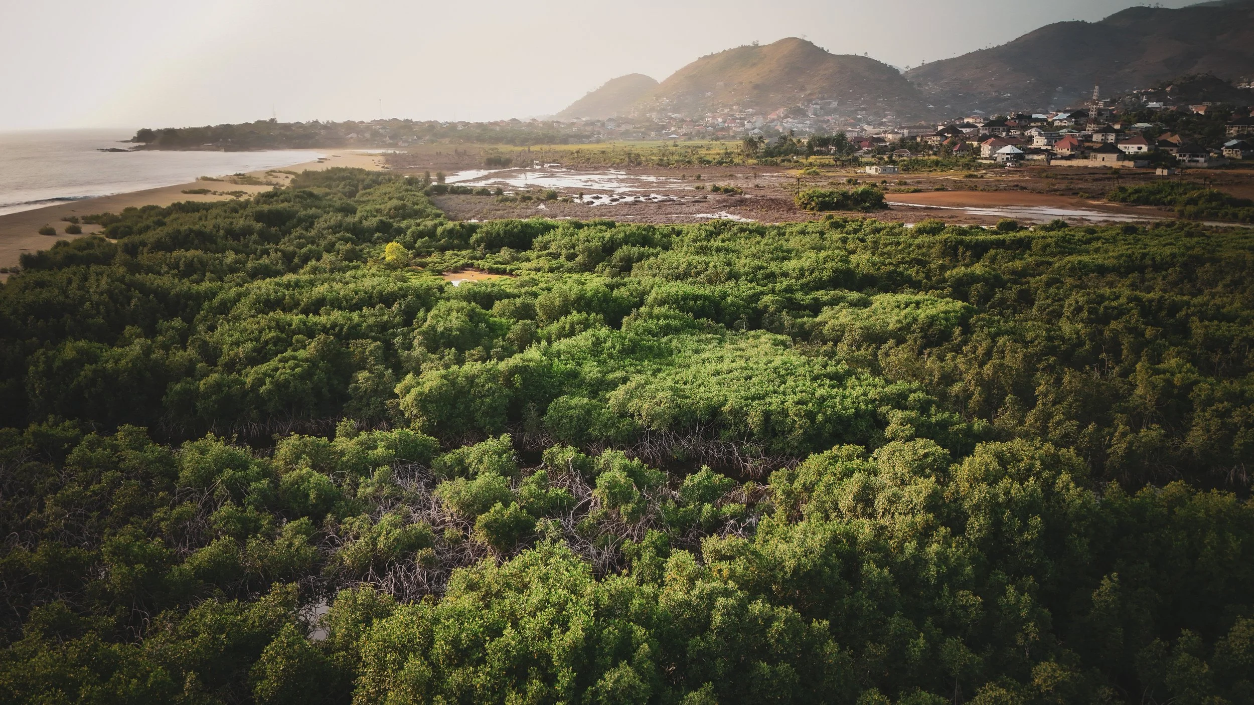 DJI_20260412180556_0020_D.jpg