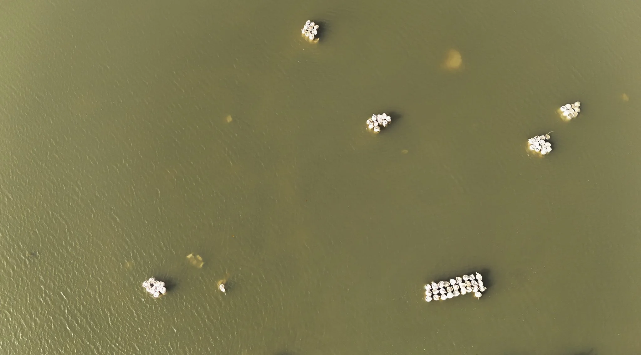 DJI_20260412171047_0011_D.jpg