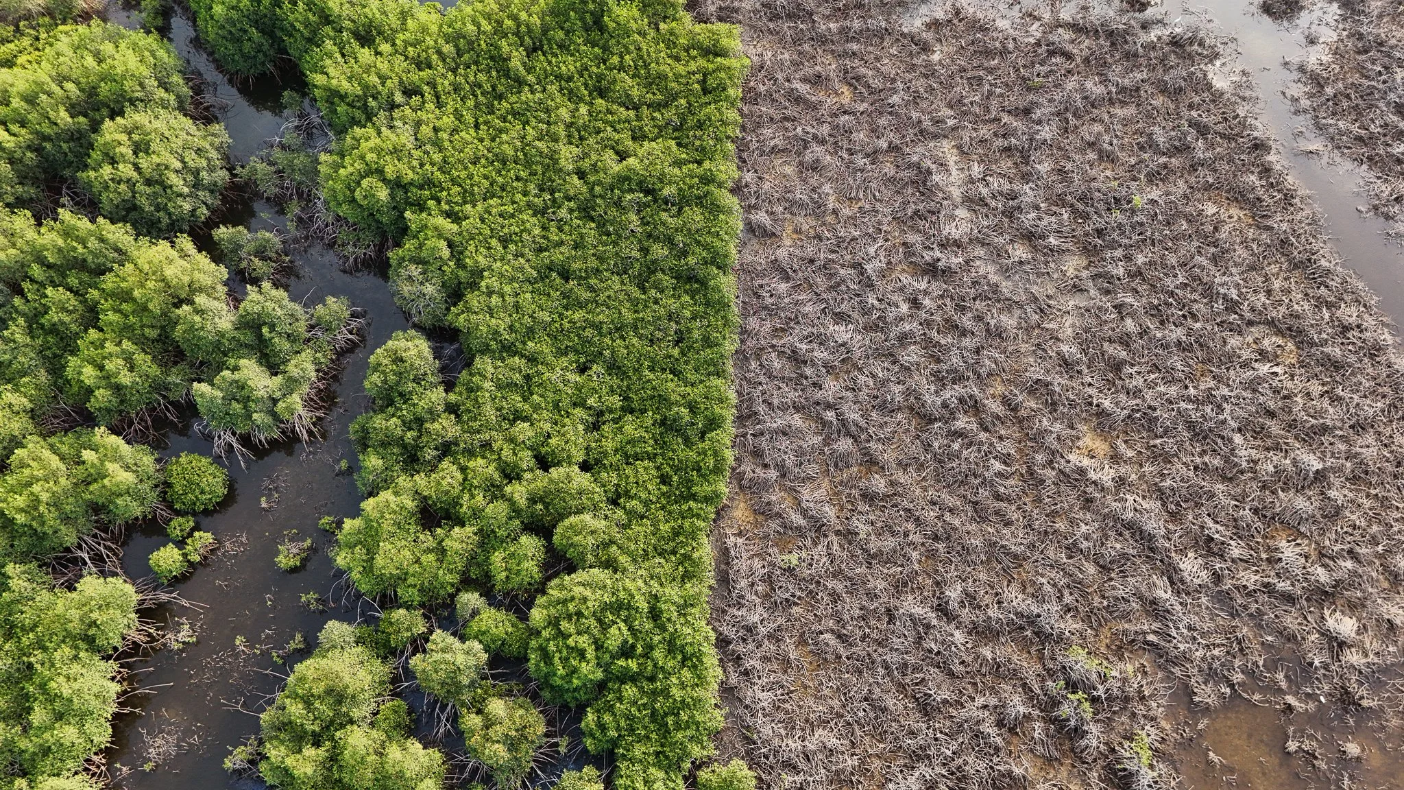 DJI_20260412181106_0032_D.jpg