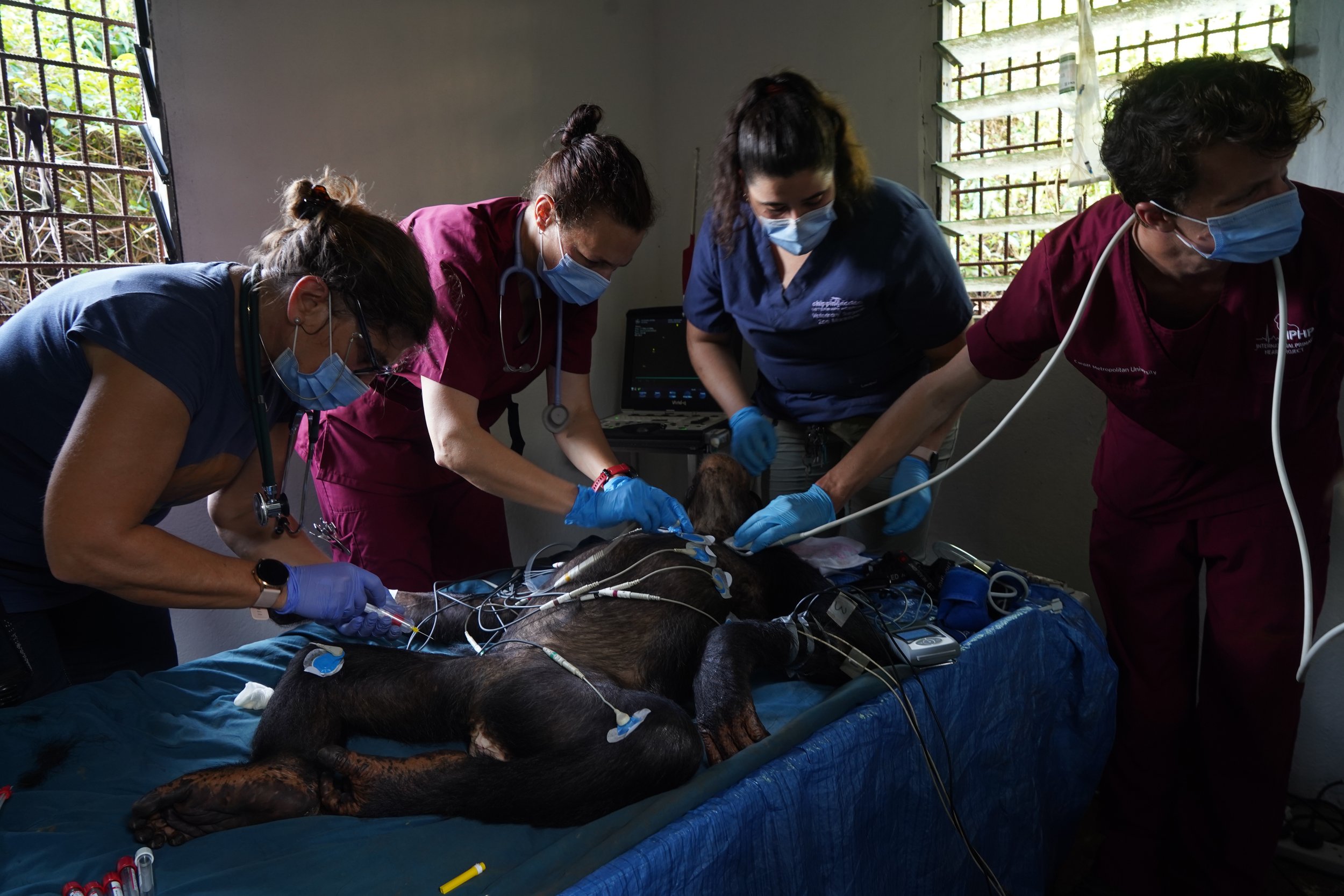 In 2024, an international team of specialists arrived to help conduct annual health checks and gather data for global research. The team included a nutritionist, reproductive experts, lab researchers from the University of Manitoba, a cardiologist fr