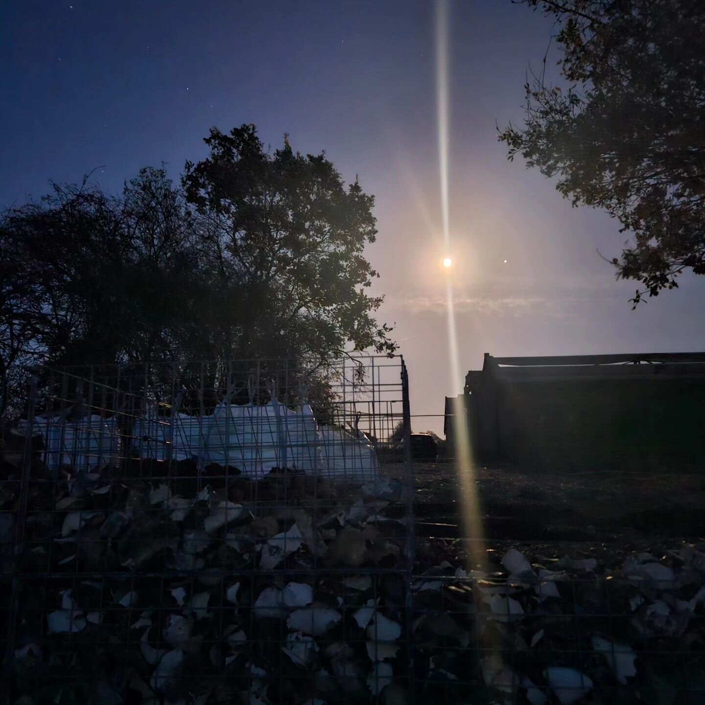 25th November 2023. Filling gabions by moonlight at 4.45pm.