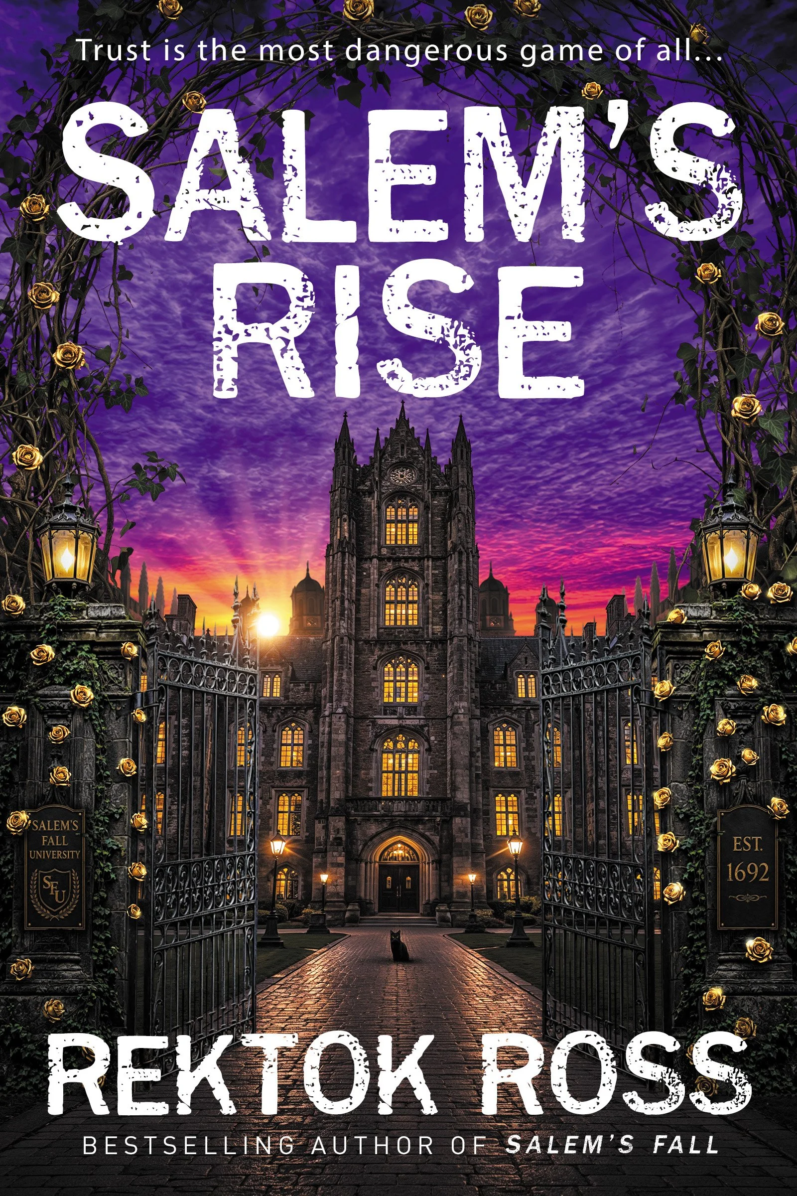 Salem's Rise cover.JPG