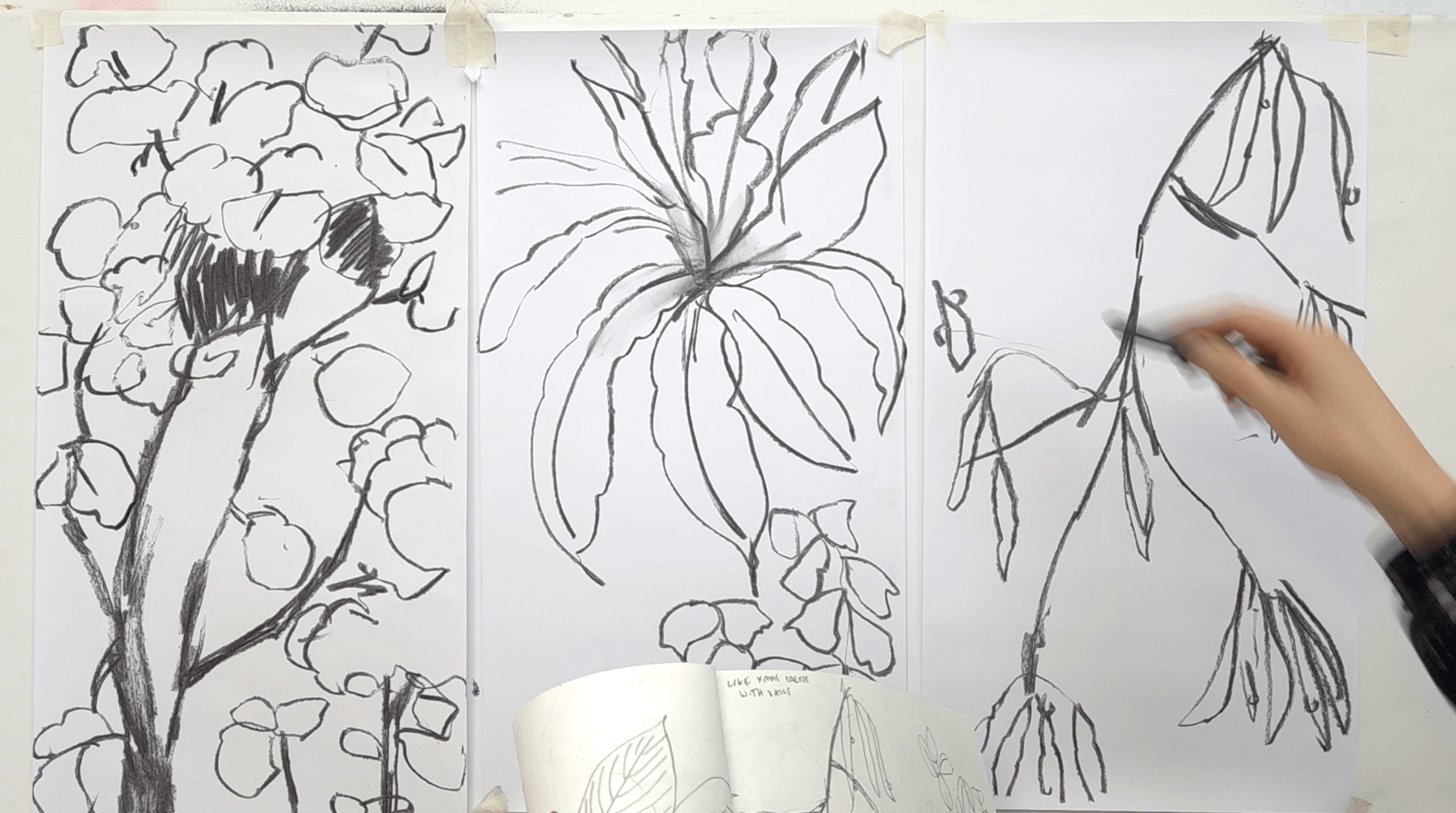 Artist sketching large tropical plant leaves with charcoal on a vertical surface in the studio.
