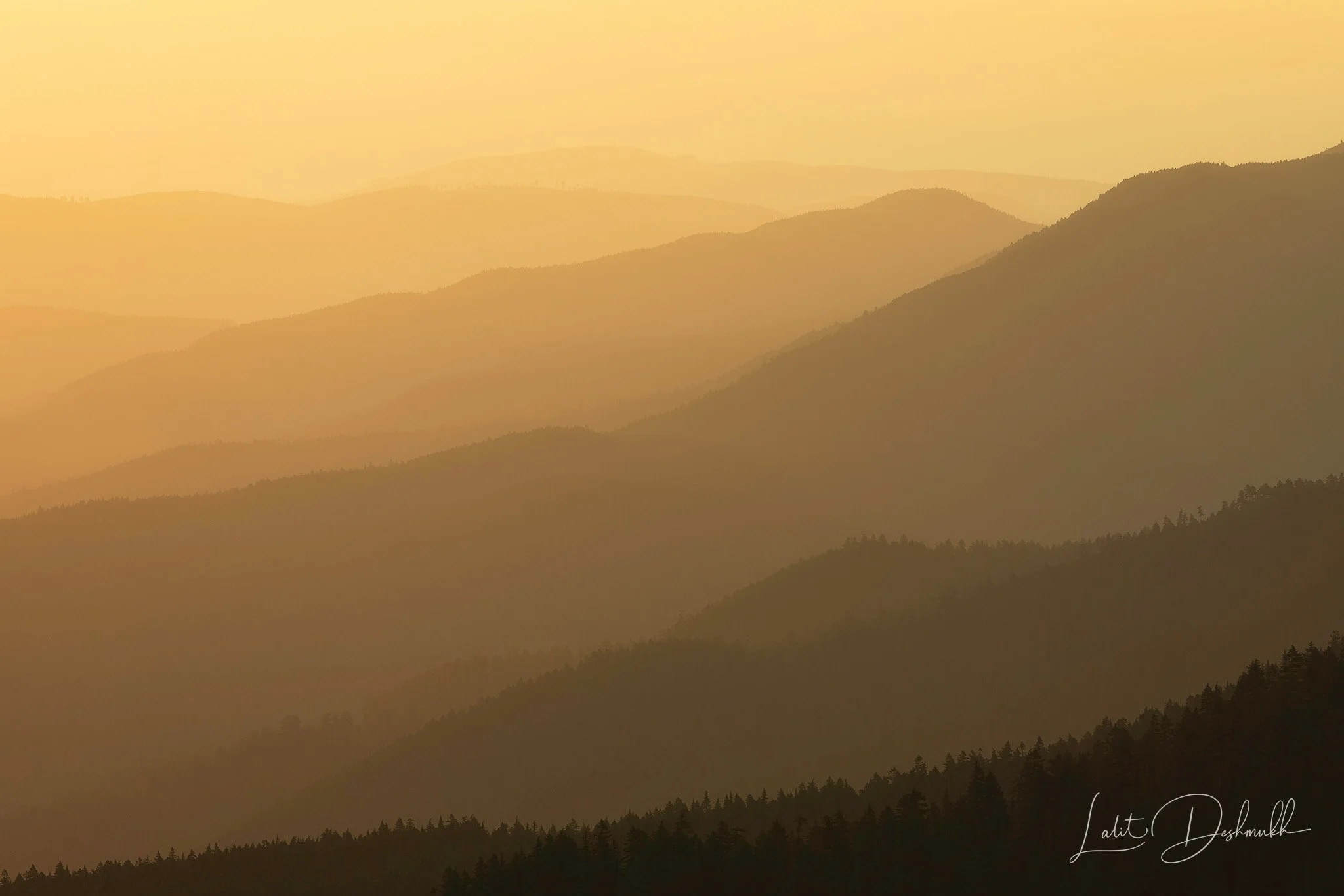 ws_wt_olympics_LalitDeshmukh_SunriseFromHurricaneRidge_1.jpg