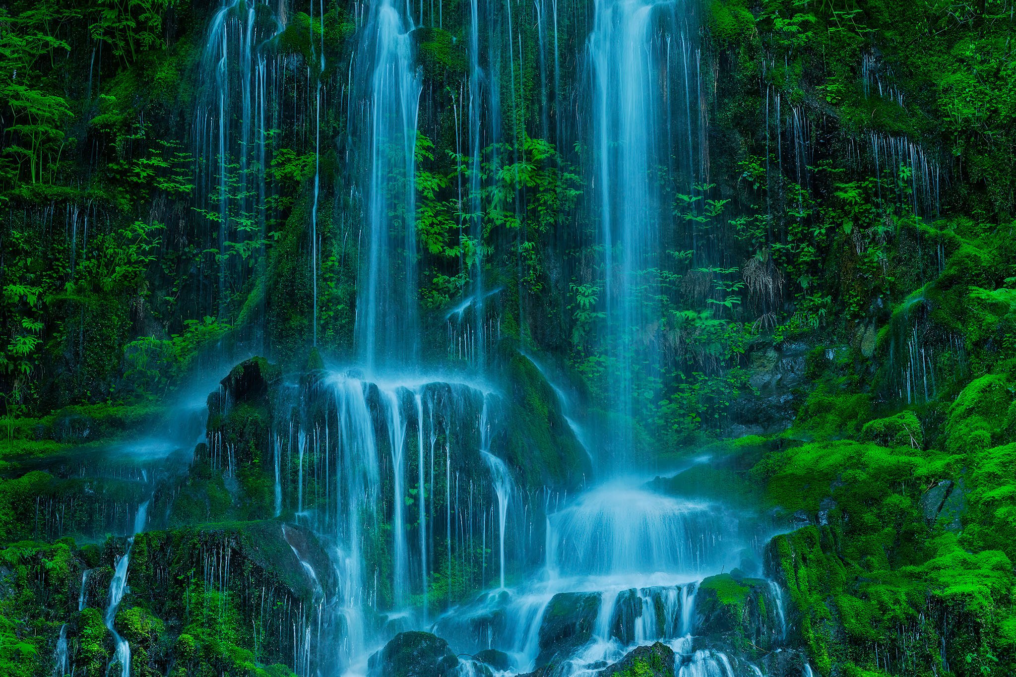 ws_wt_olympics_Quinault Waterfall edit web copy.jpg