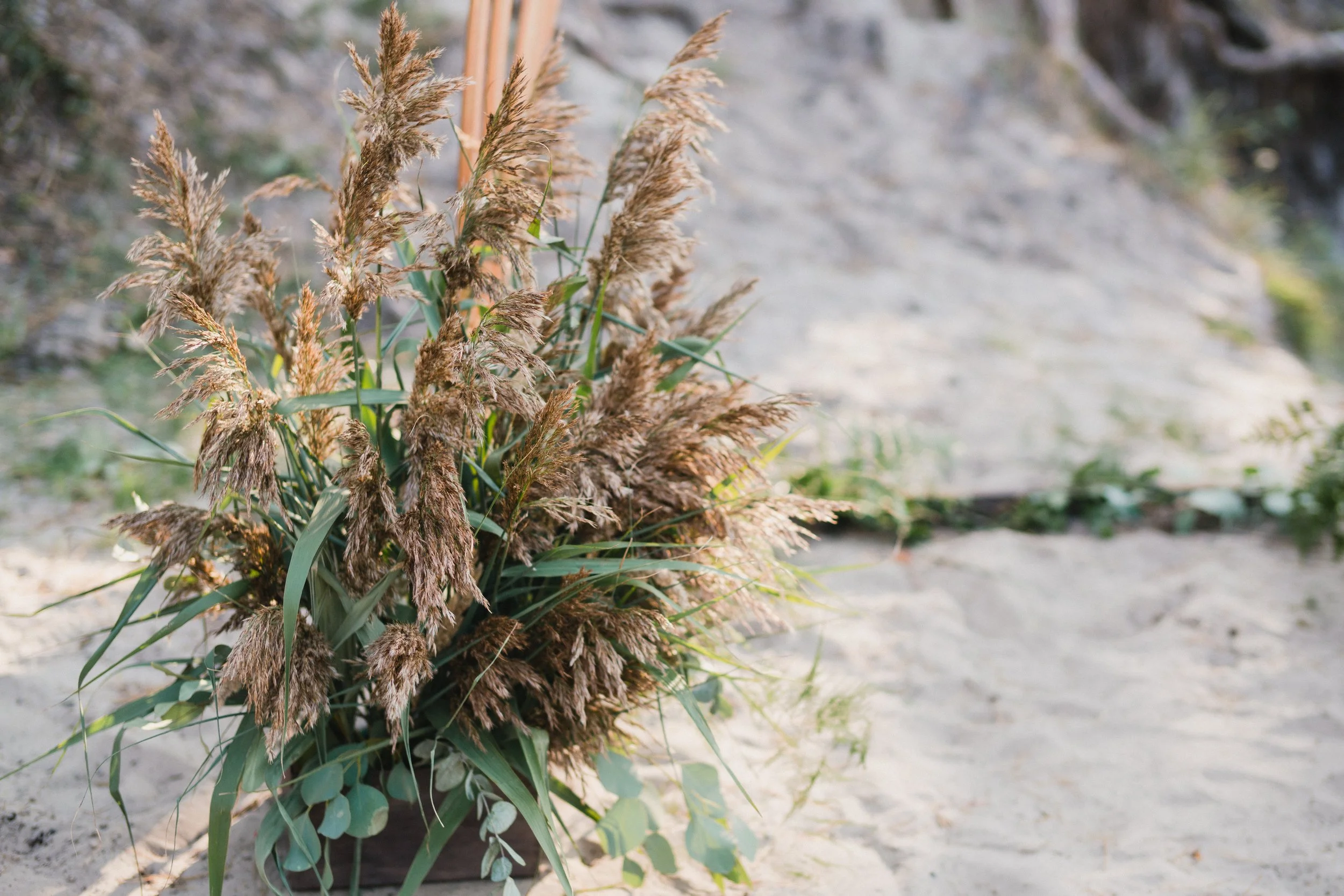 Wedding, elopements, event videographer Portugal