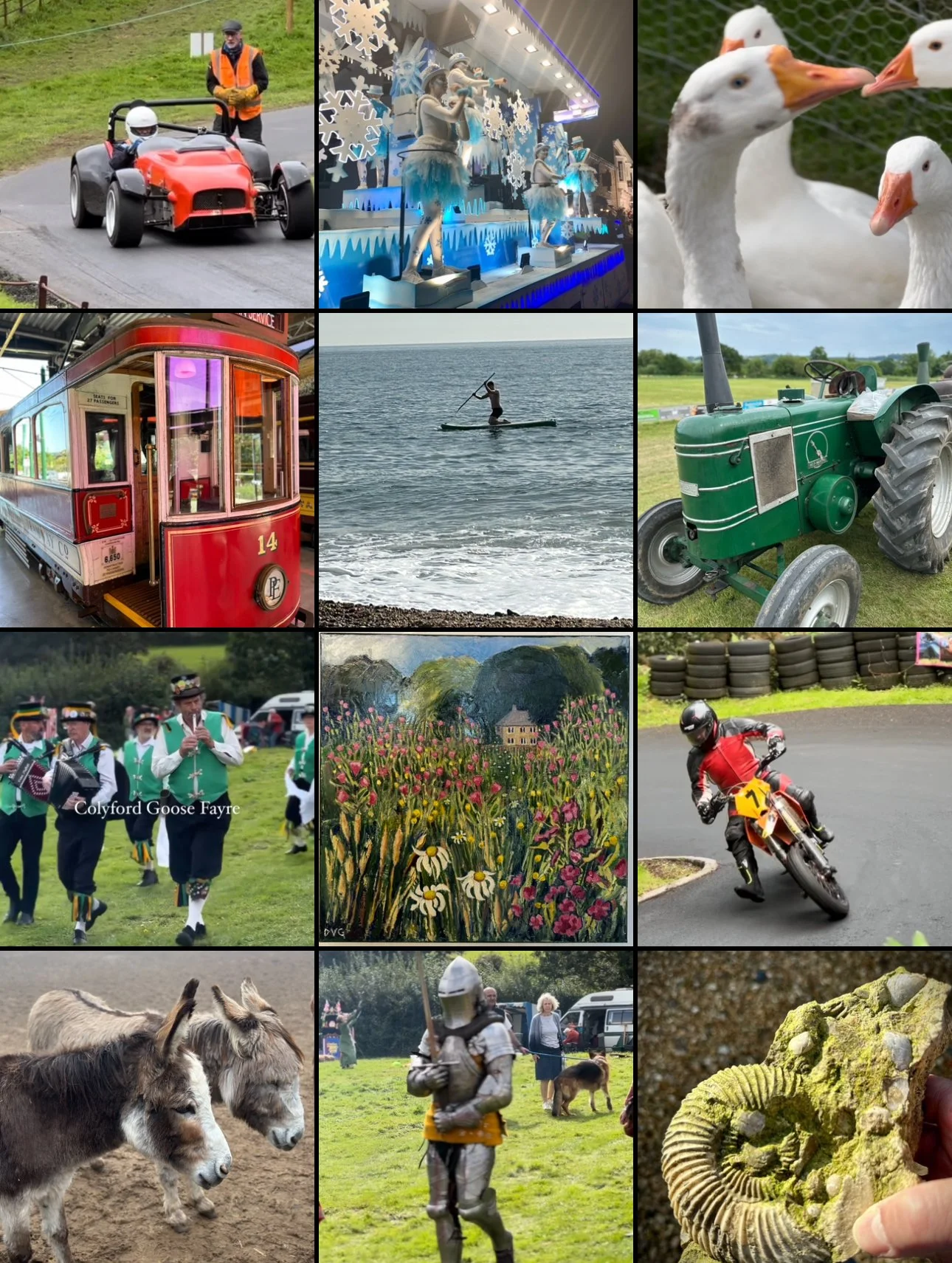 Get ready for a Devon summer of fun, thrills and speed.. And geese!