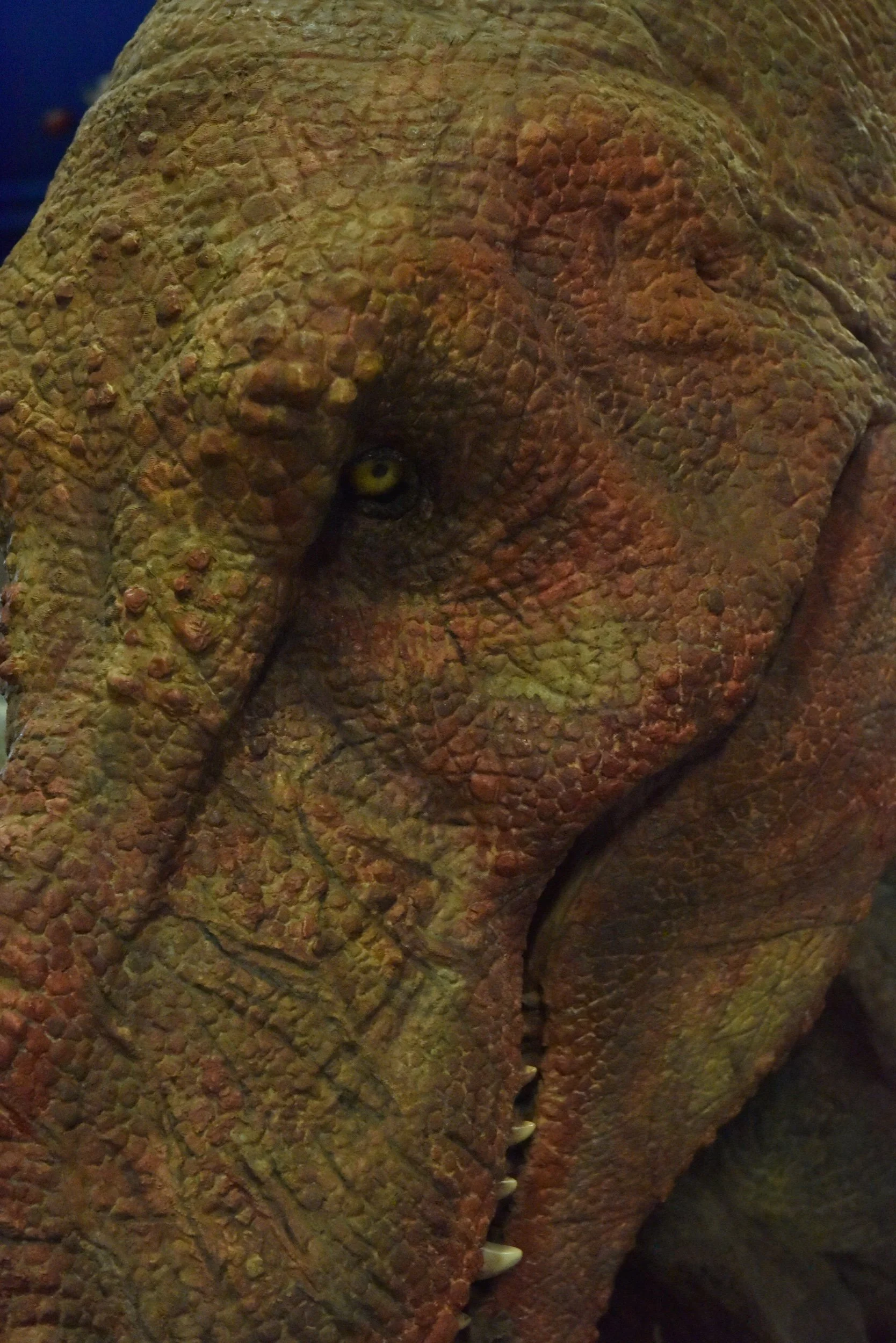 Step back in time for the last day of the dinosaurs!