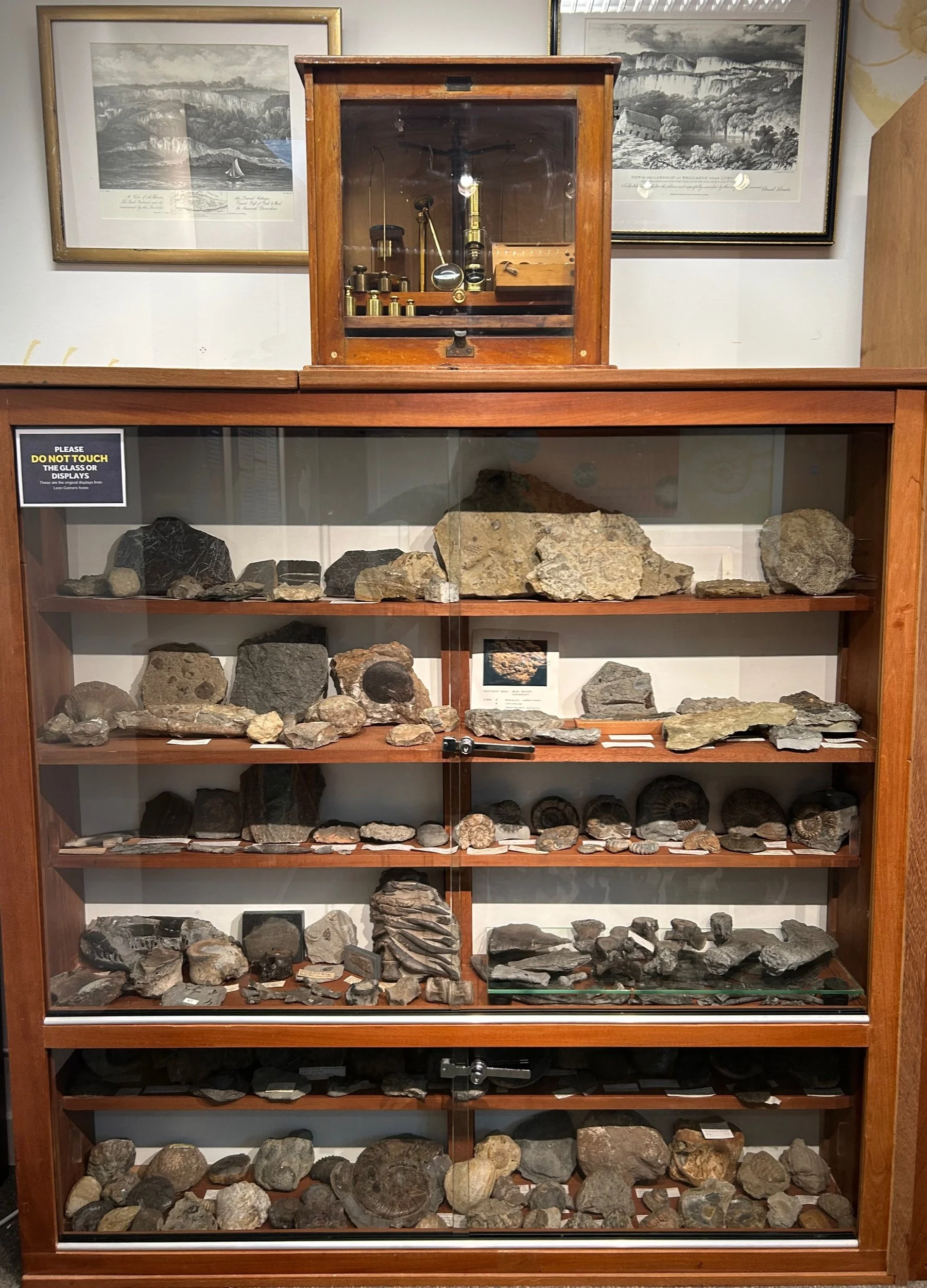 New exhibition celebrates a lifetime of collecting fossils!
