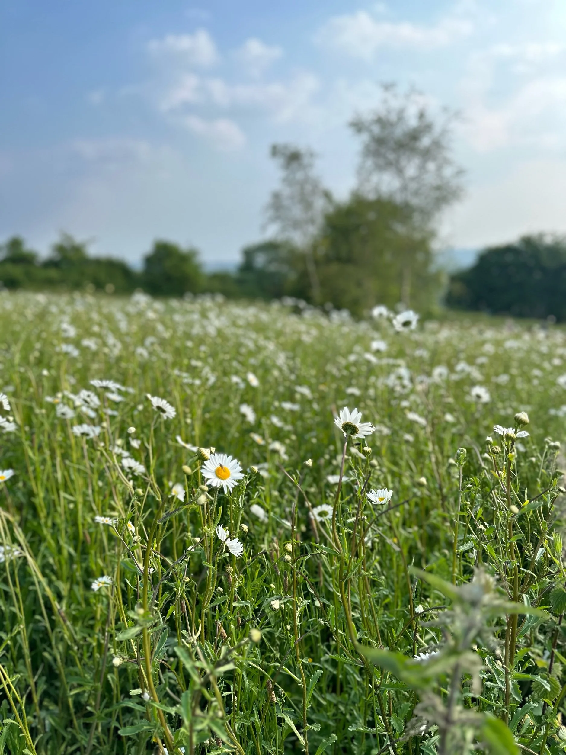 Finding Wellness on holiday: The Guide to Holistic Relaxation