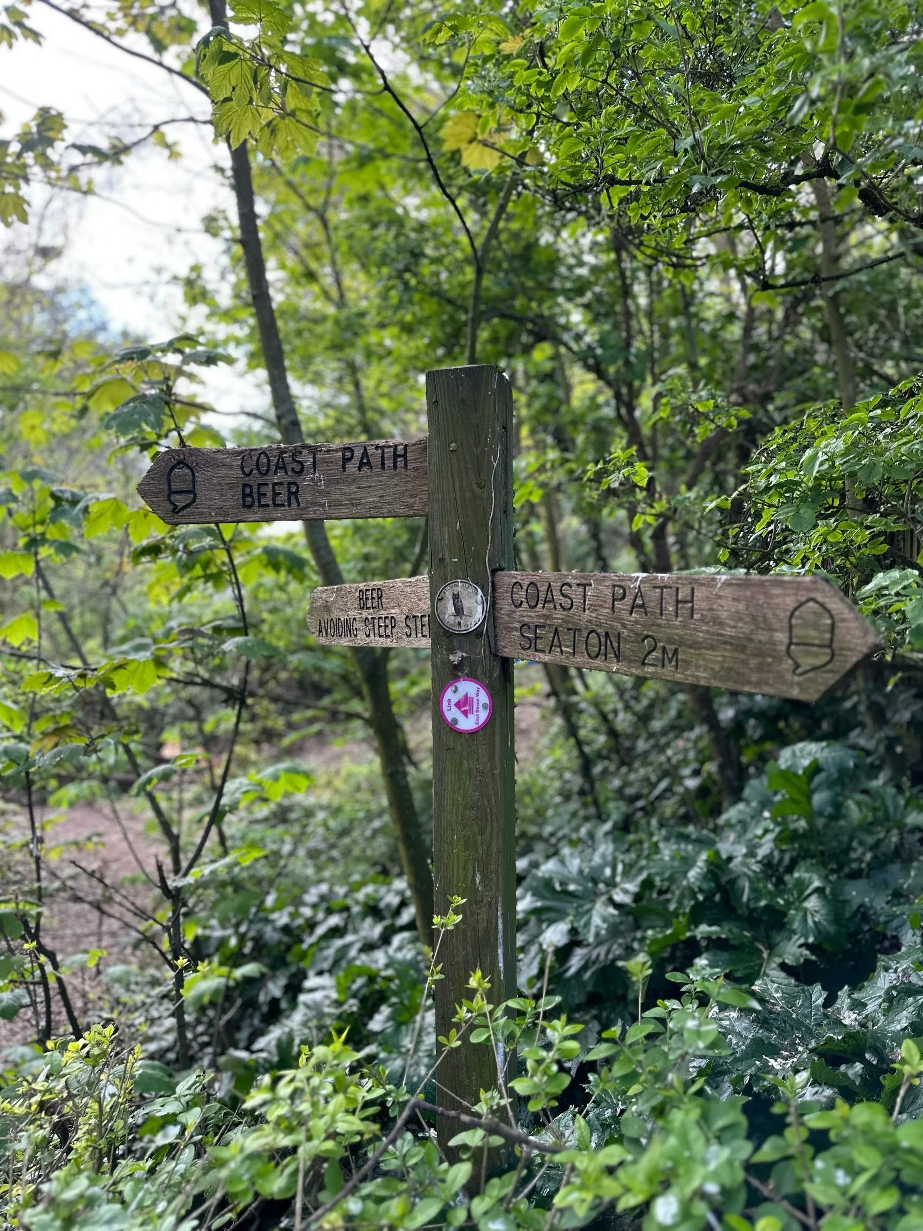 Autumn is walking season