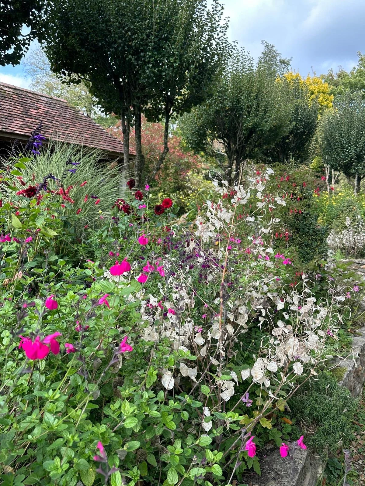 Enjoy an autumn spectacular in East Devon’s best gardens