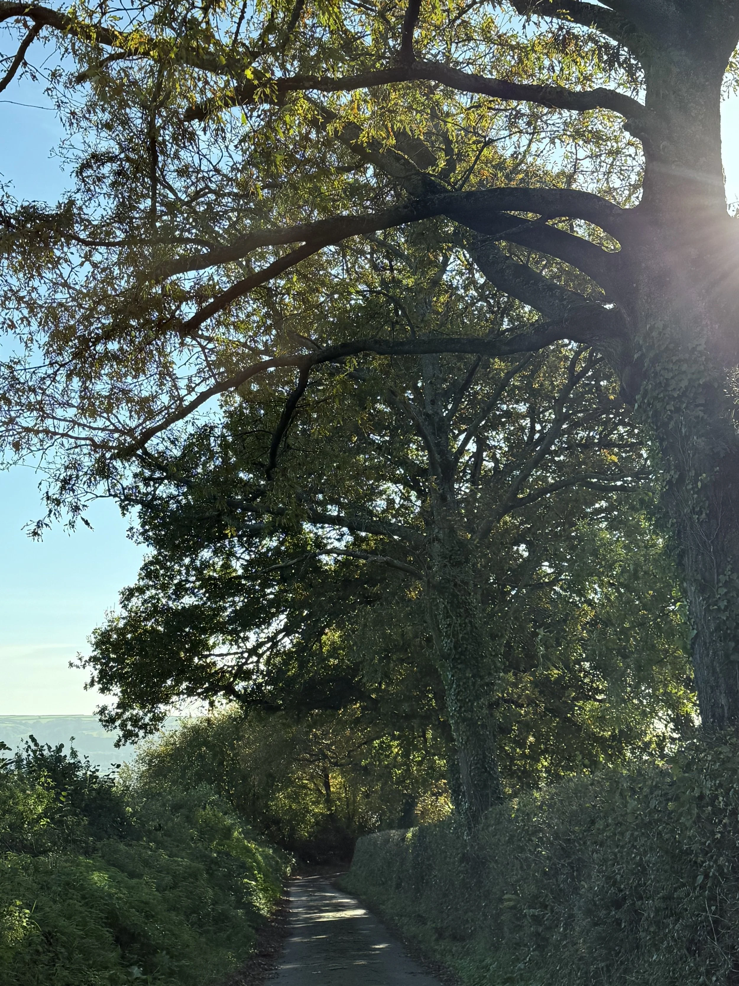 Fall in love with autumn in East Devon
