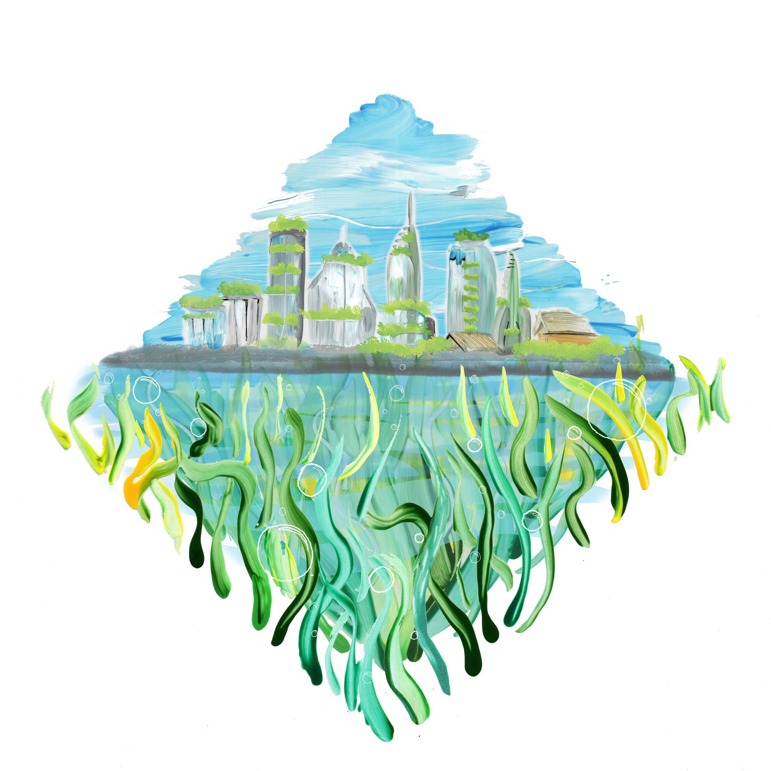 Seagrass meadow - Uncook Book Submission.jpg