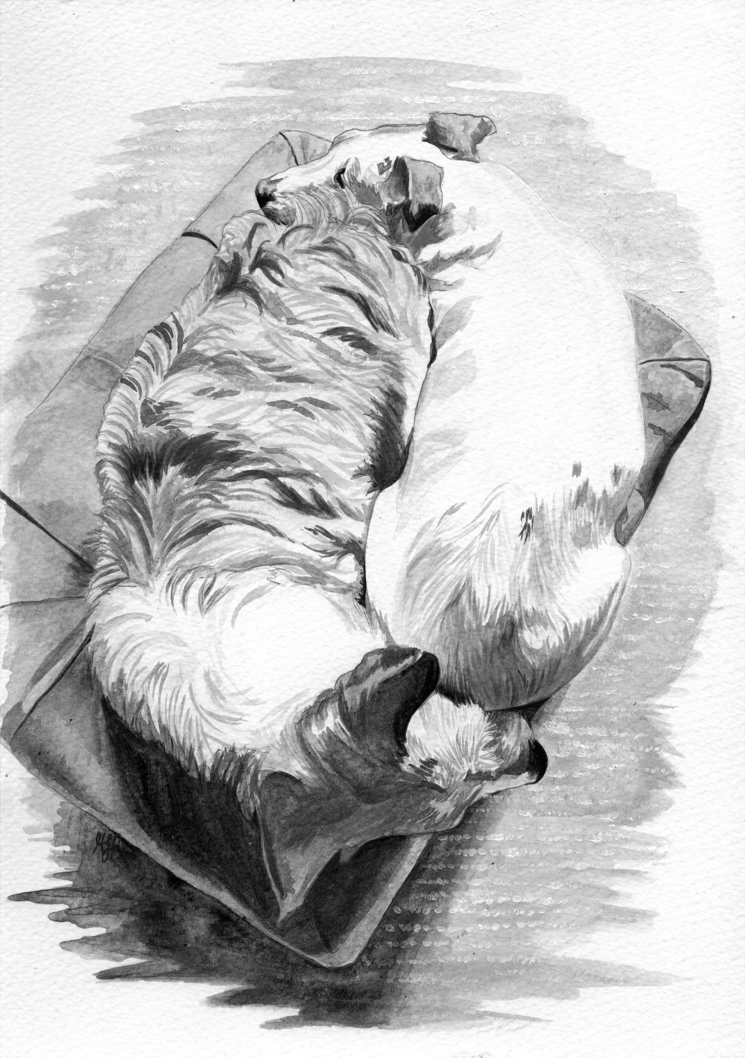 Dog duo_B&W.jpg