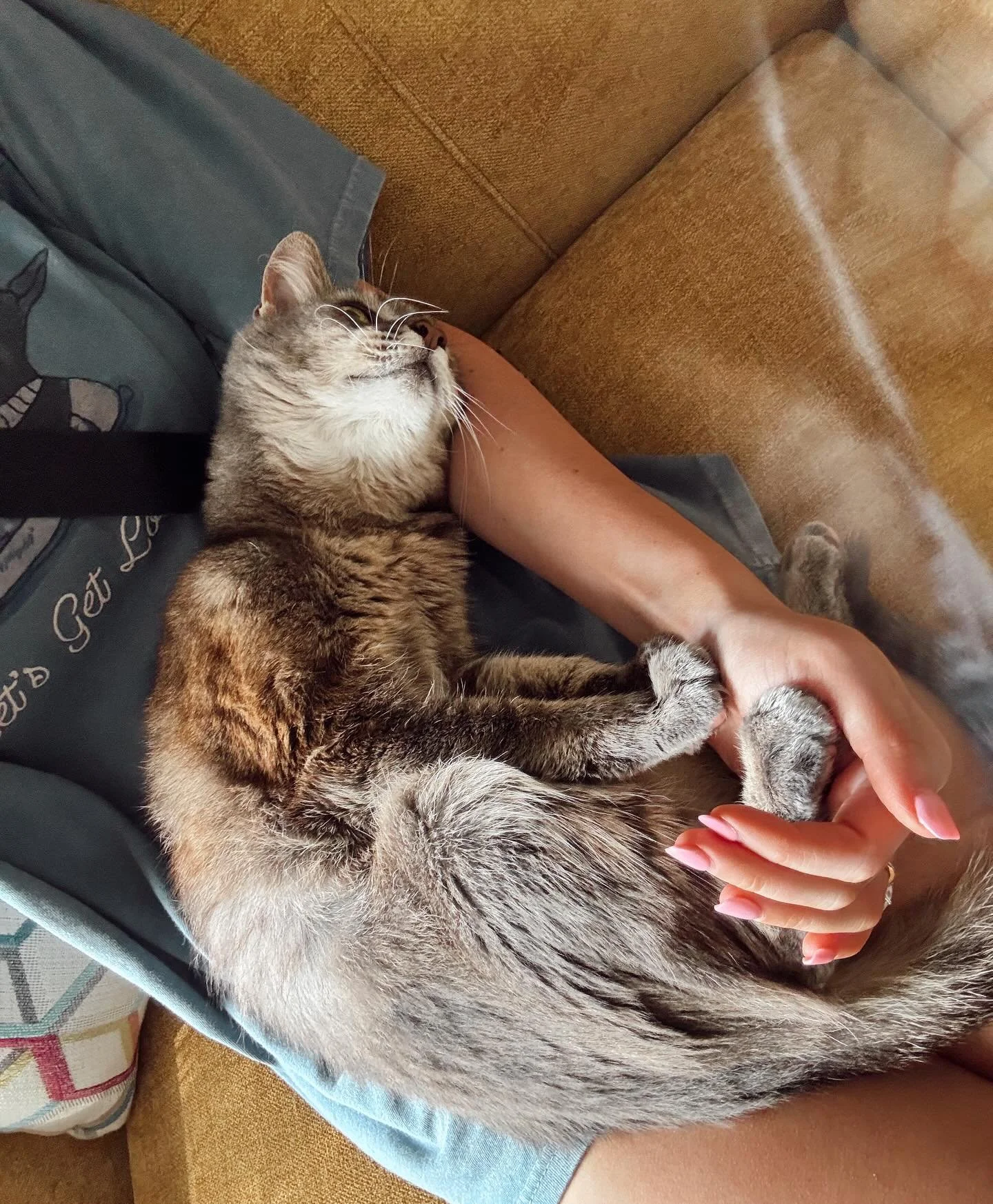 We are LOVING this weather lately and cuddles with sweet spooky are giving us allll the fall vibes🍁👻