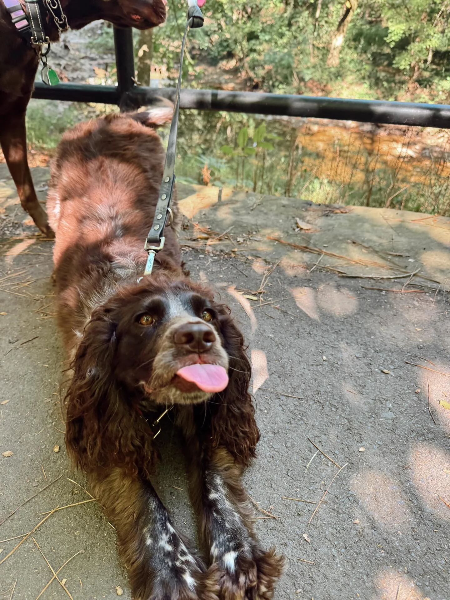 Loo this morning:😛😛😛