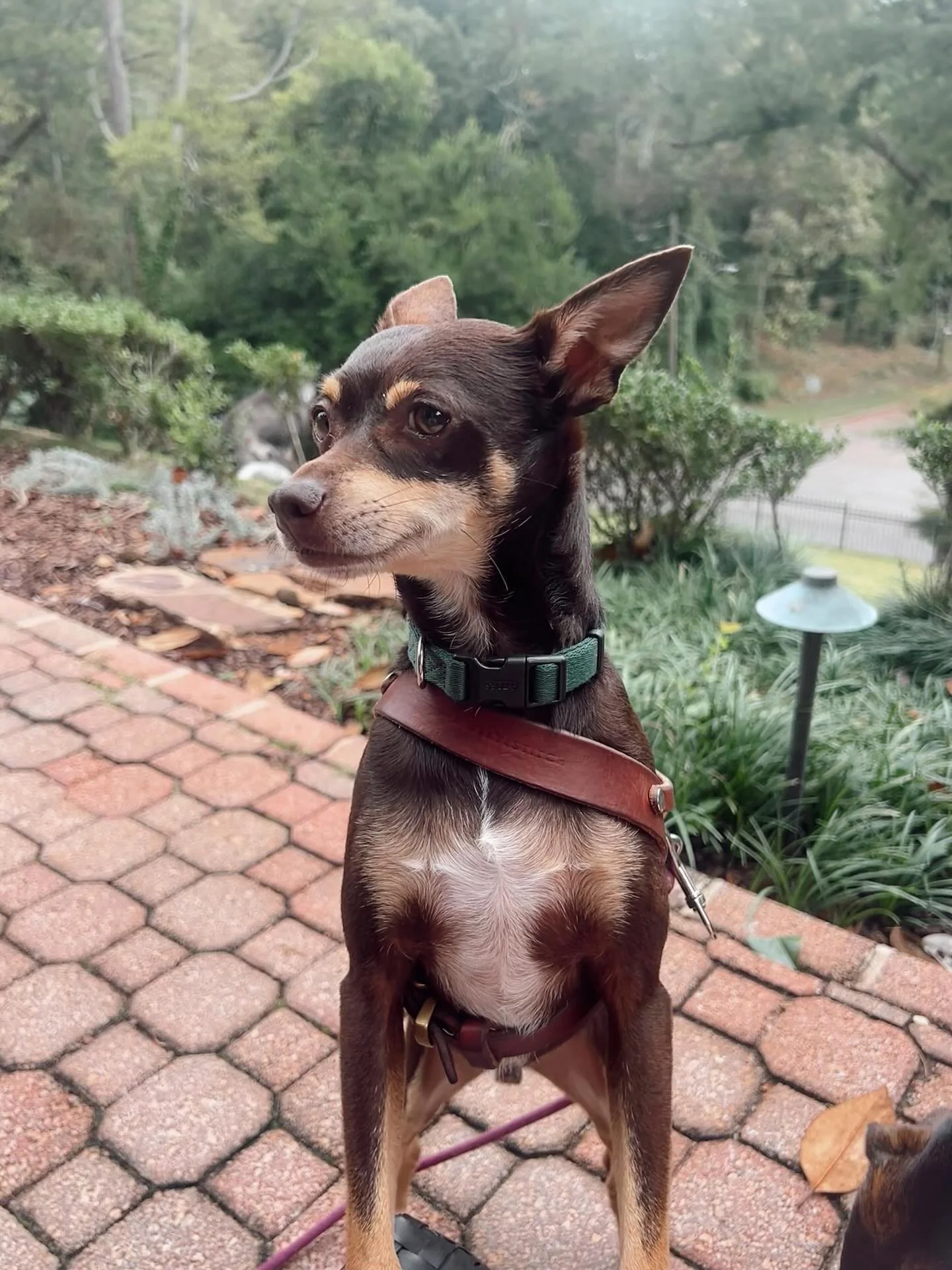 Waldo says, &ldquo;get my good side😏&rdquo;