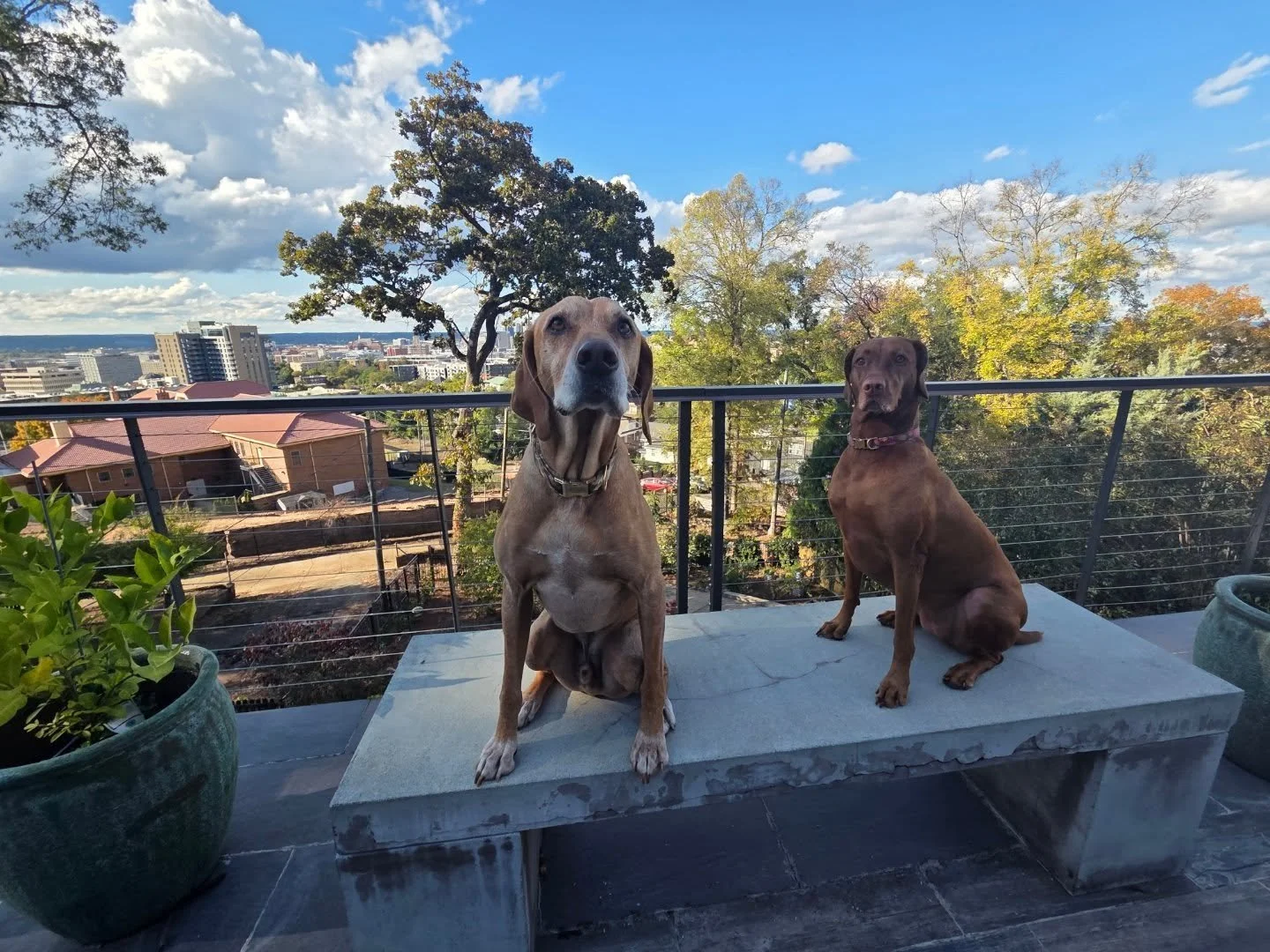 Nothing beats a good view!